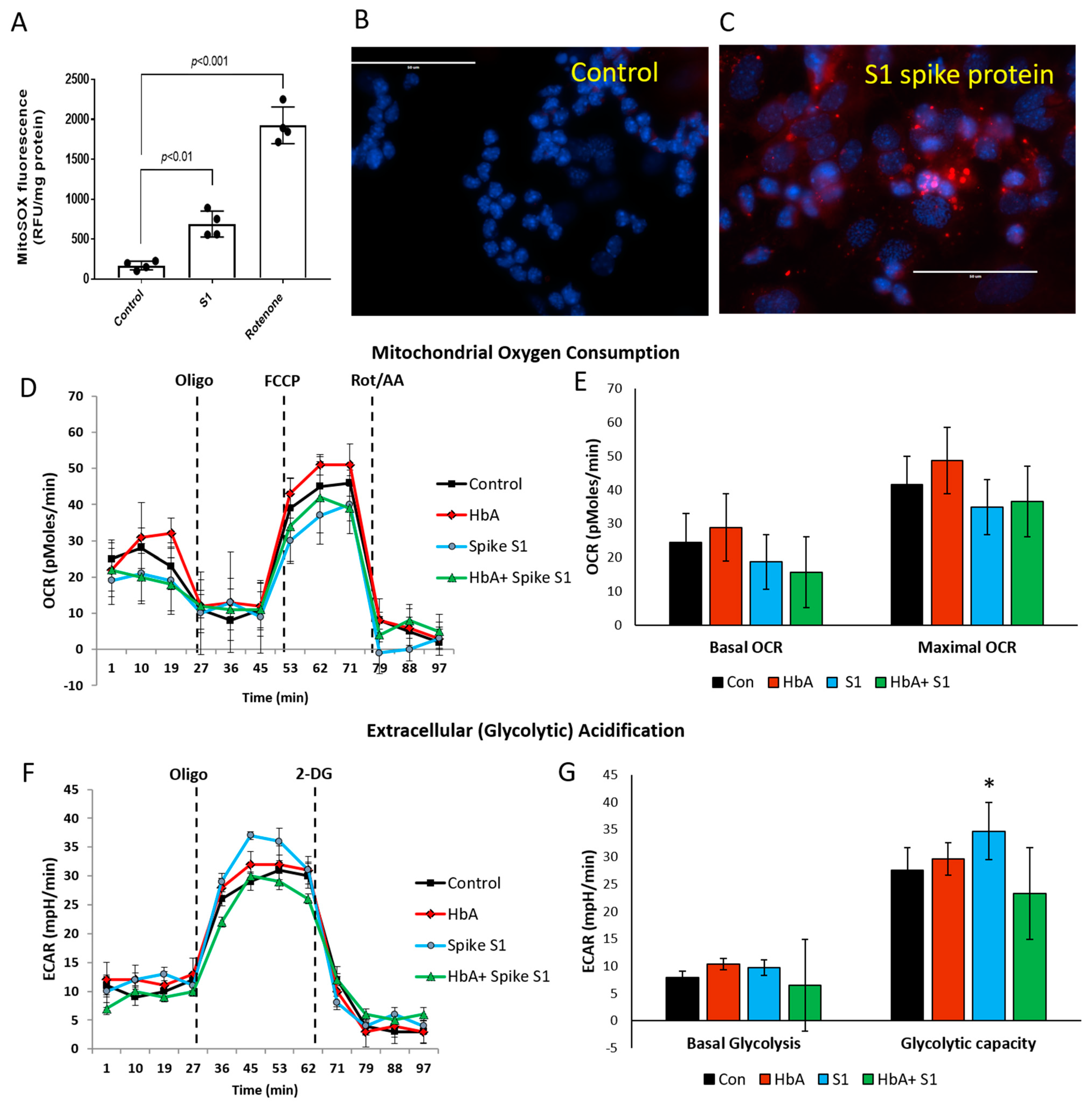 Ijms 22 09041 g005 550