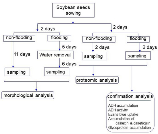 Solved In Part A you analysed the activity of ADH under