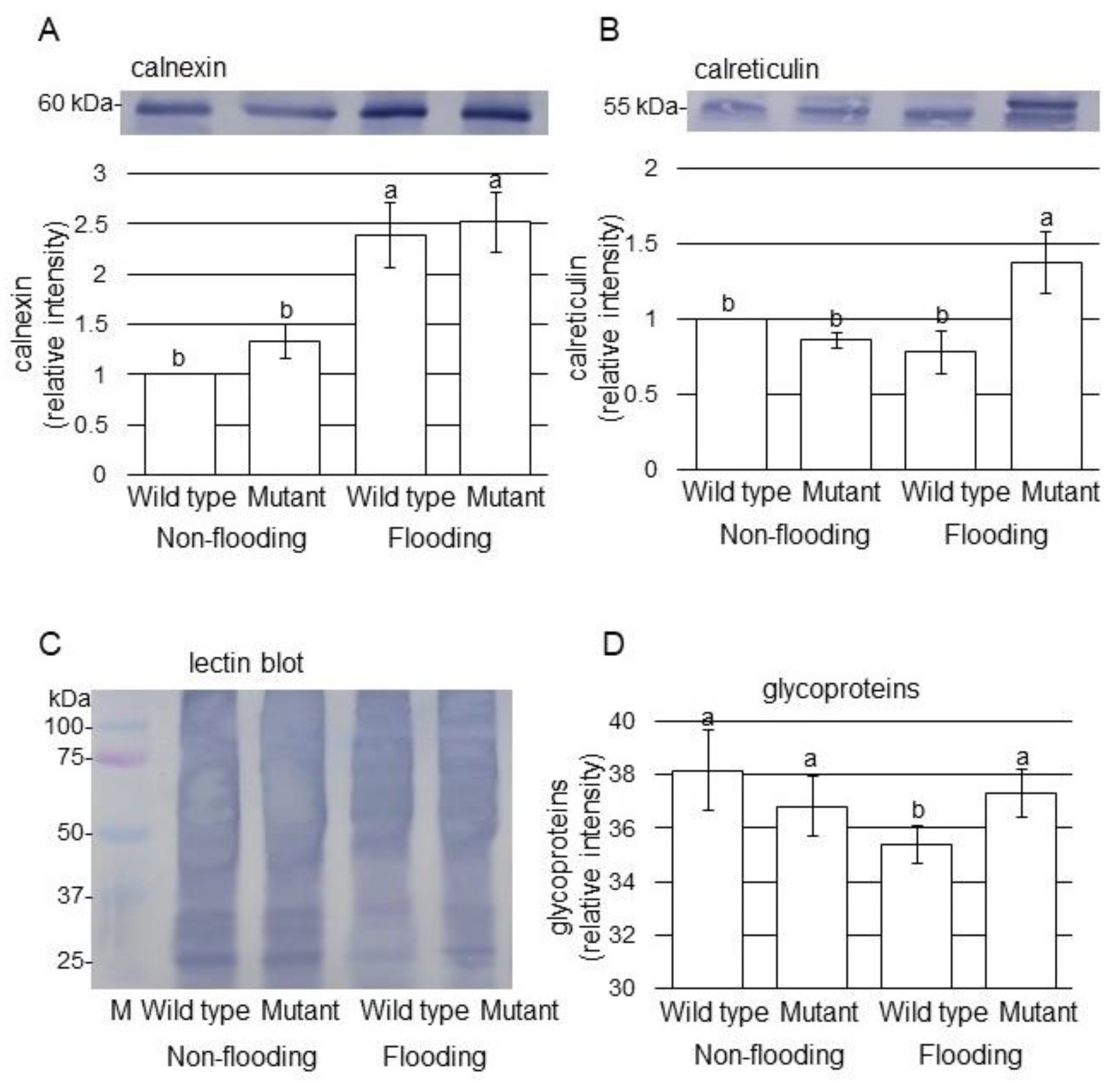 Ijms 22 09046 g004 550