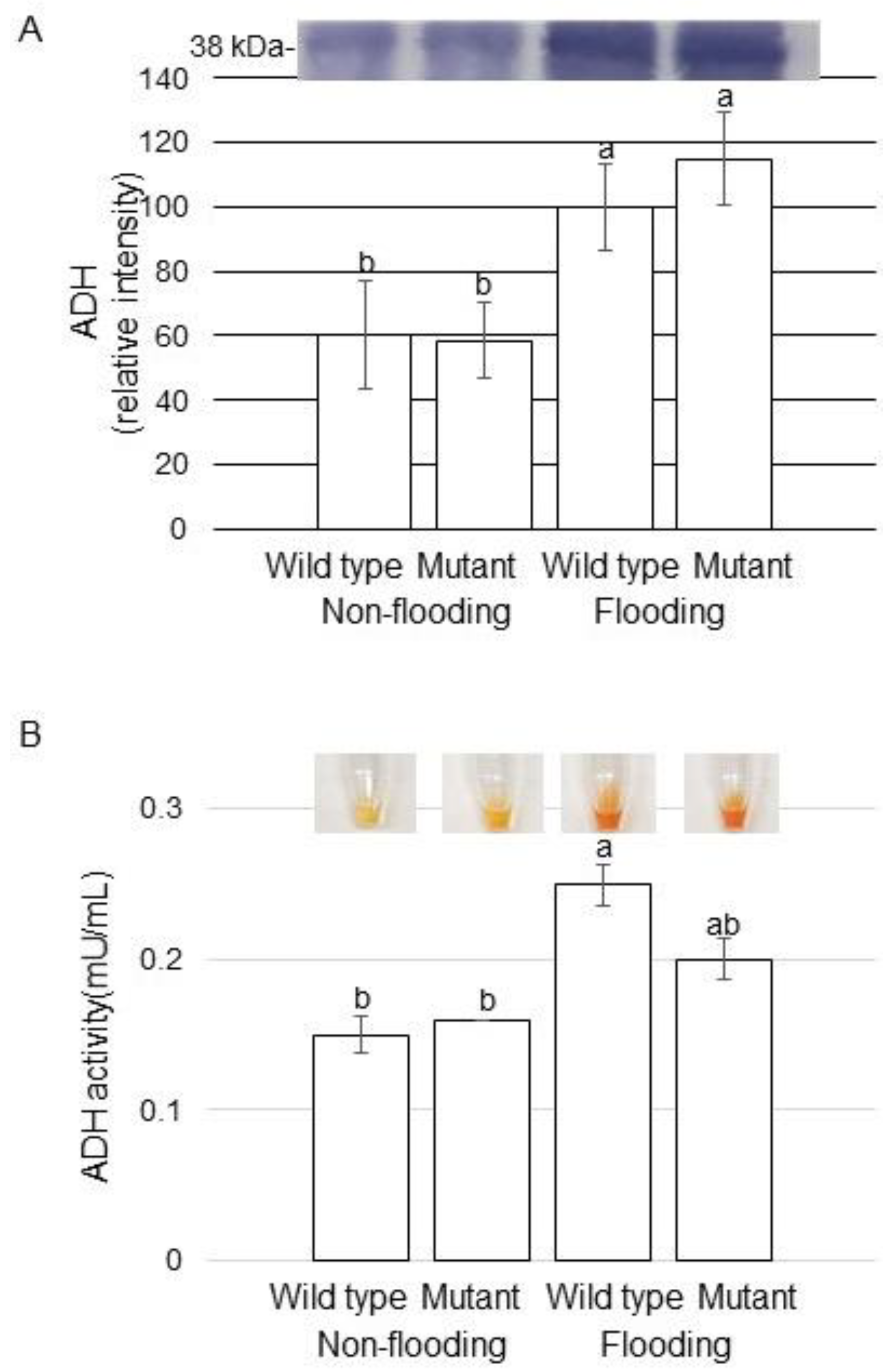 Ijms 22 09046 g005 550