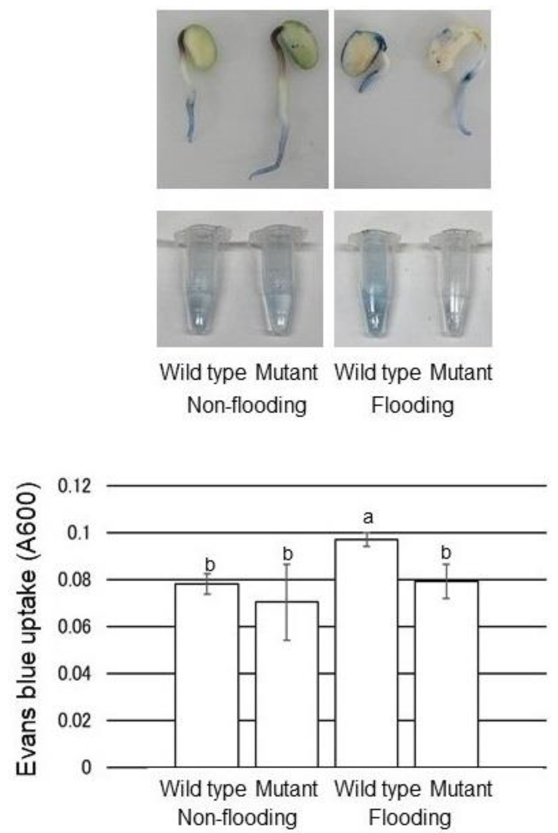 Ijms 22 09046 g006 550