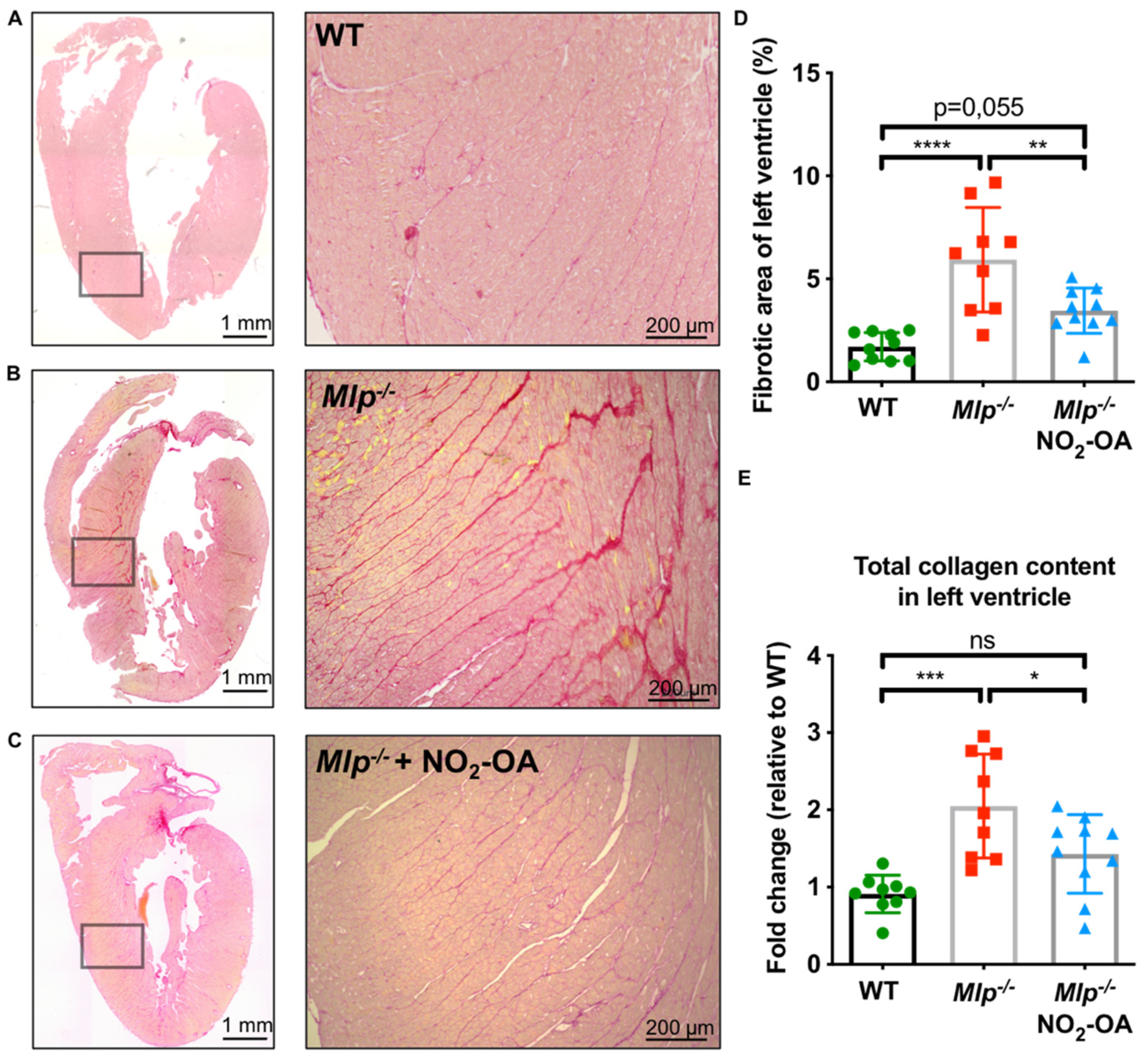 Ijms 22 09052 g002 550