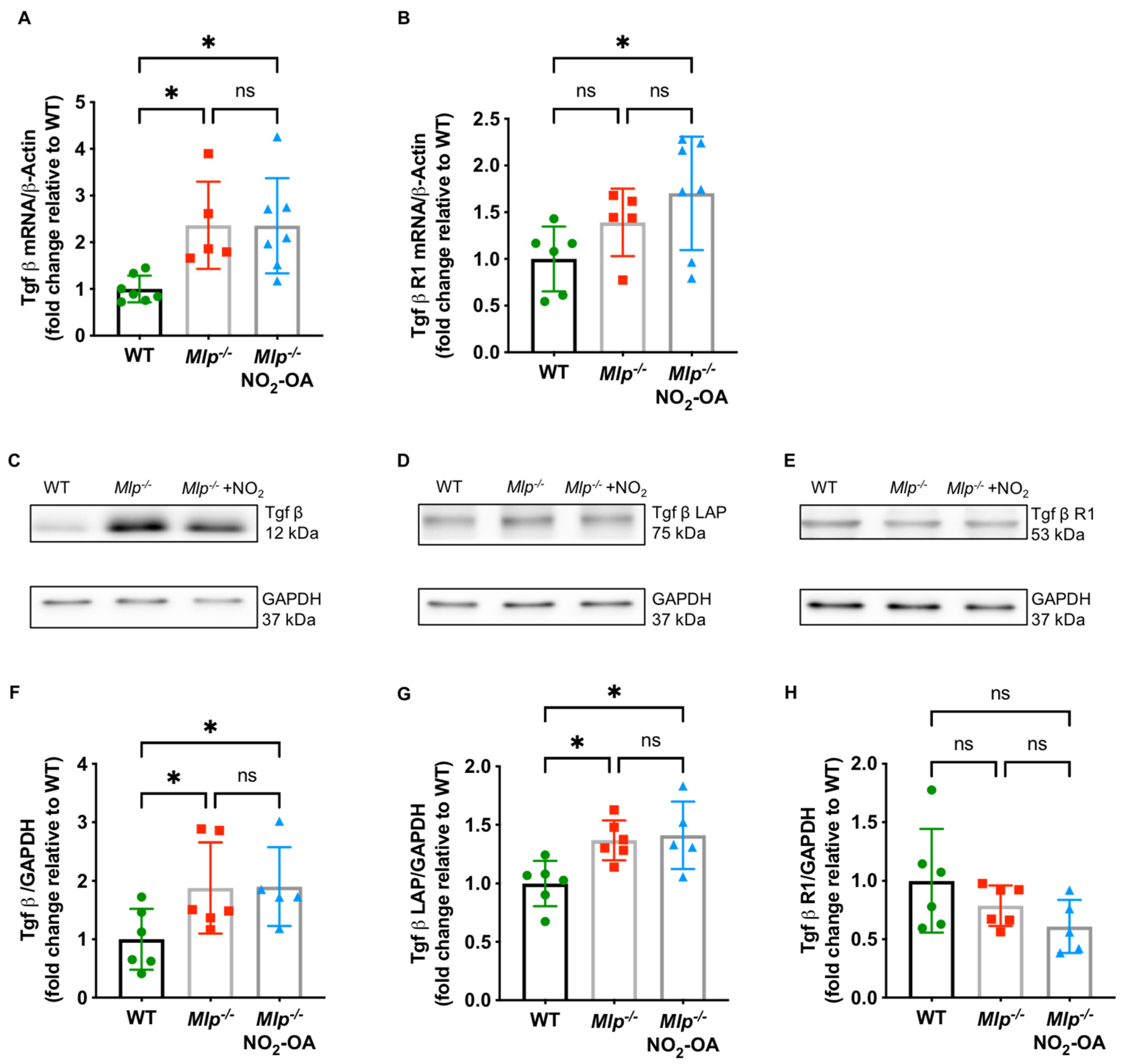 Ijms 22 09052 g003 550