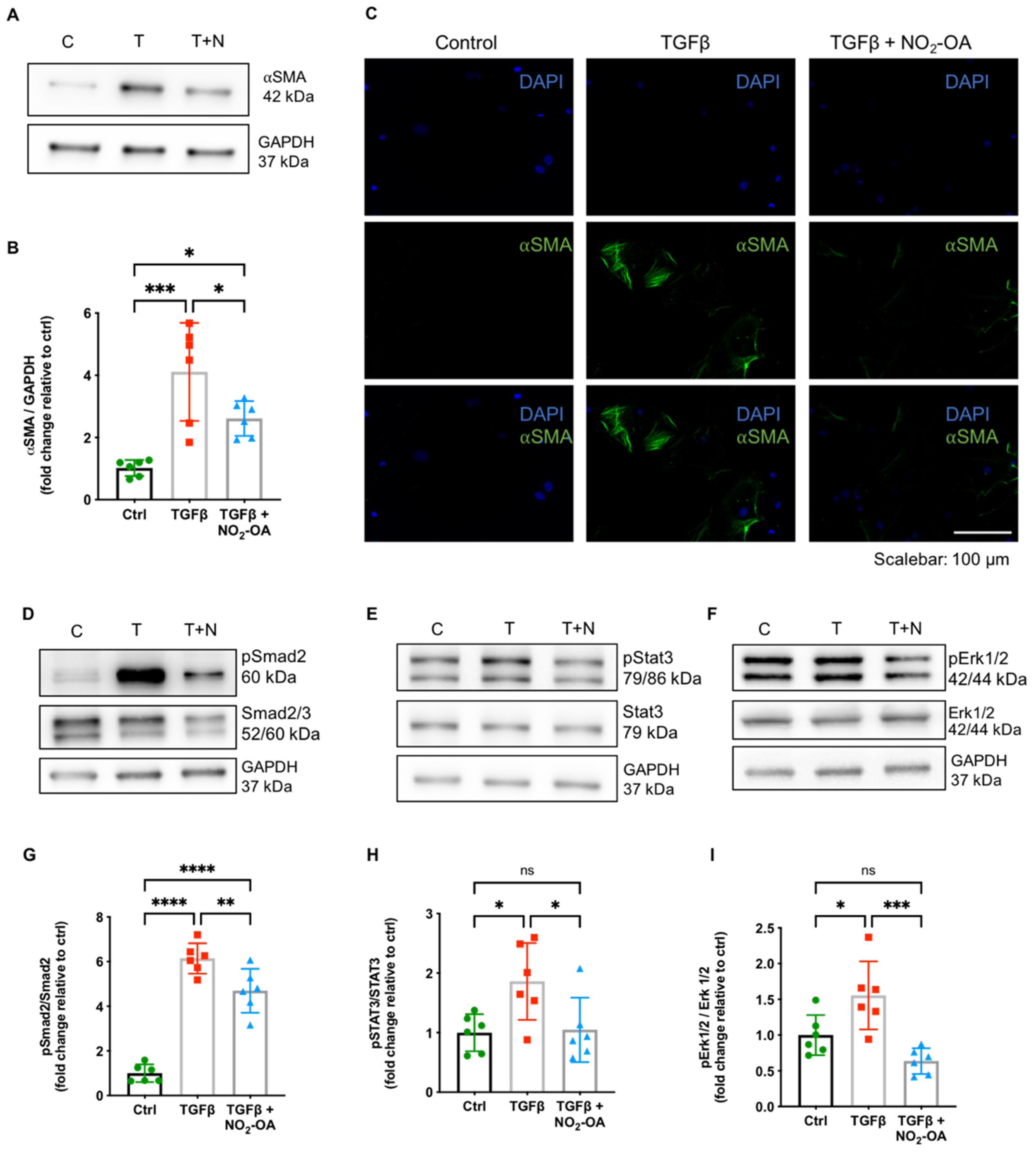 Ijms 22 09052 g004 550