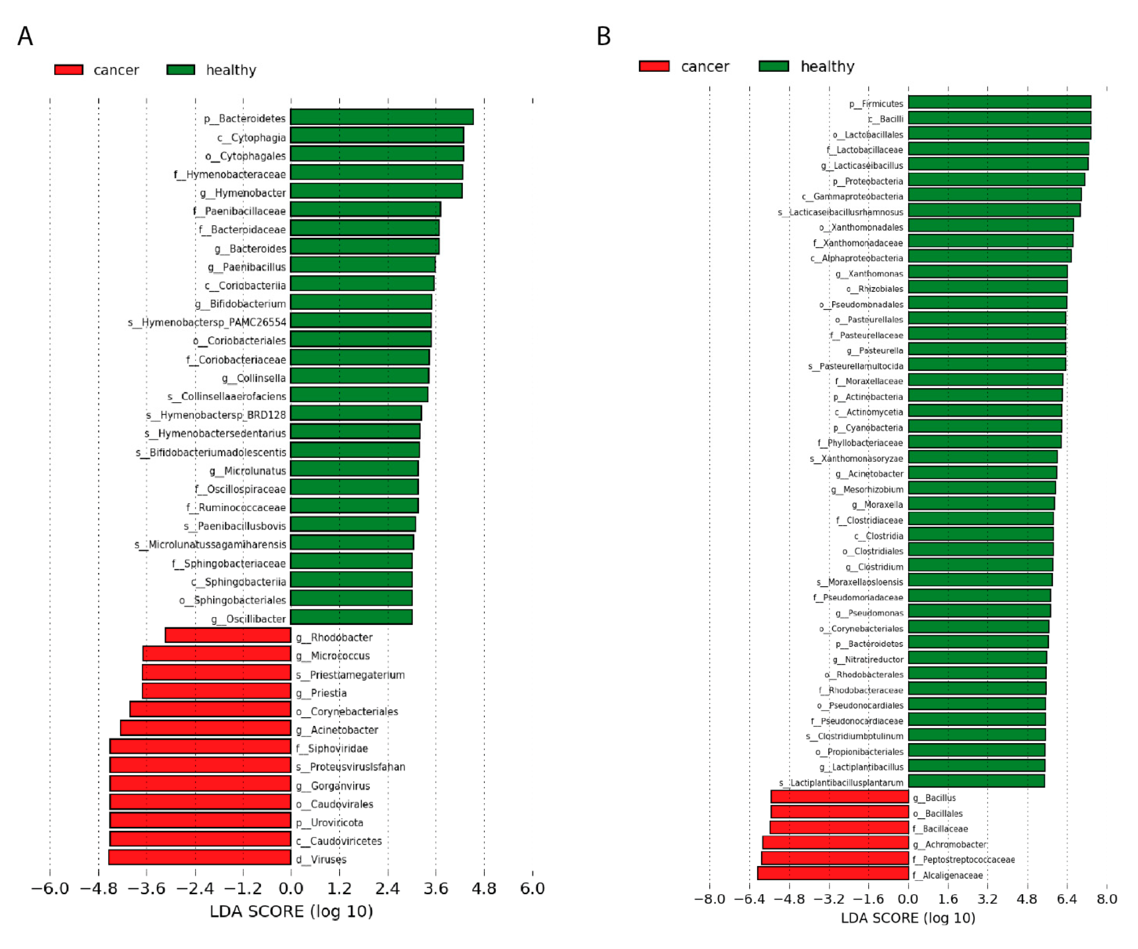 Ijms 22 09058 g003 550