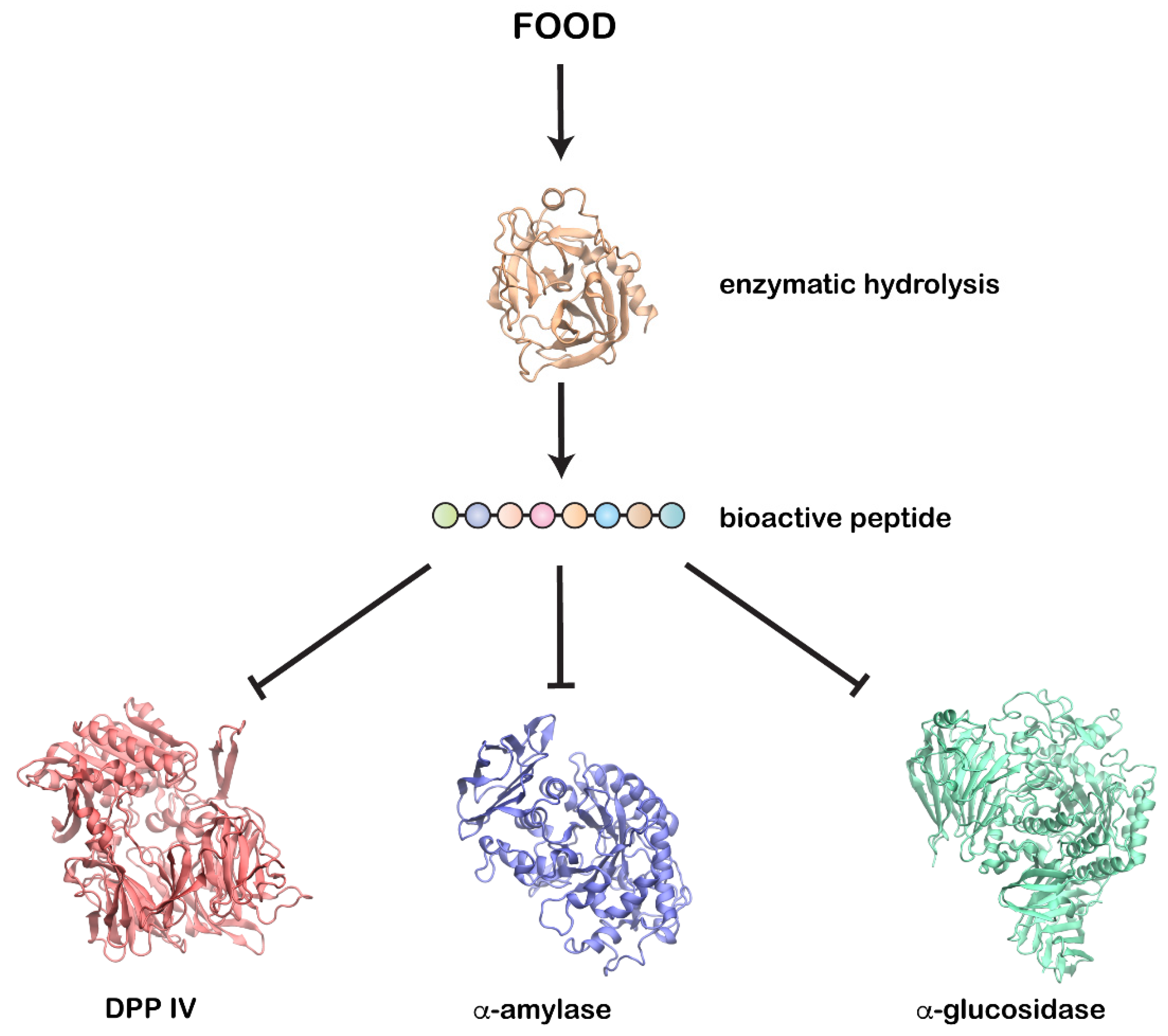 peptid diabétesz kezelésére exercise induced hypoglycemia in non diabetics