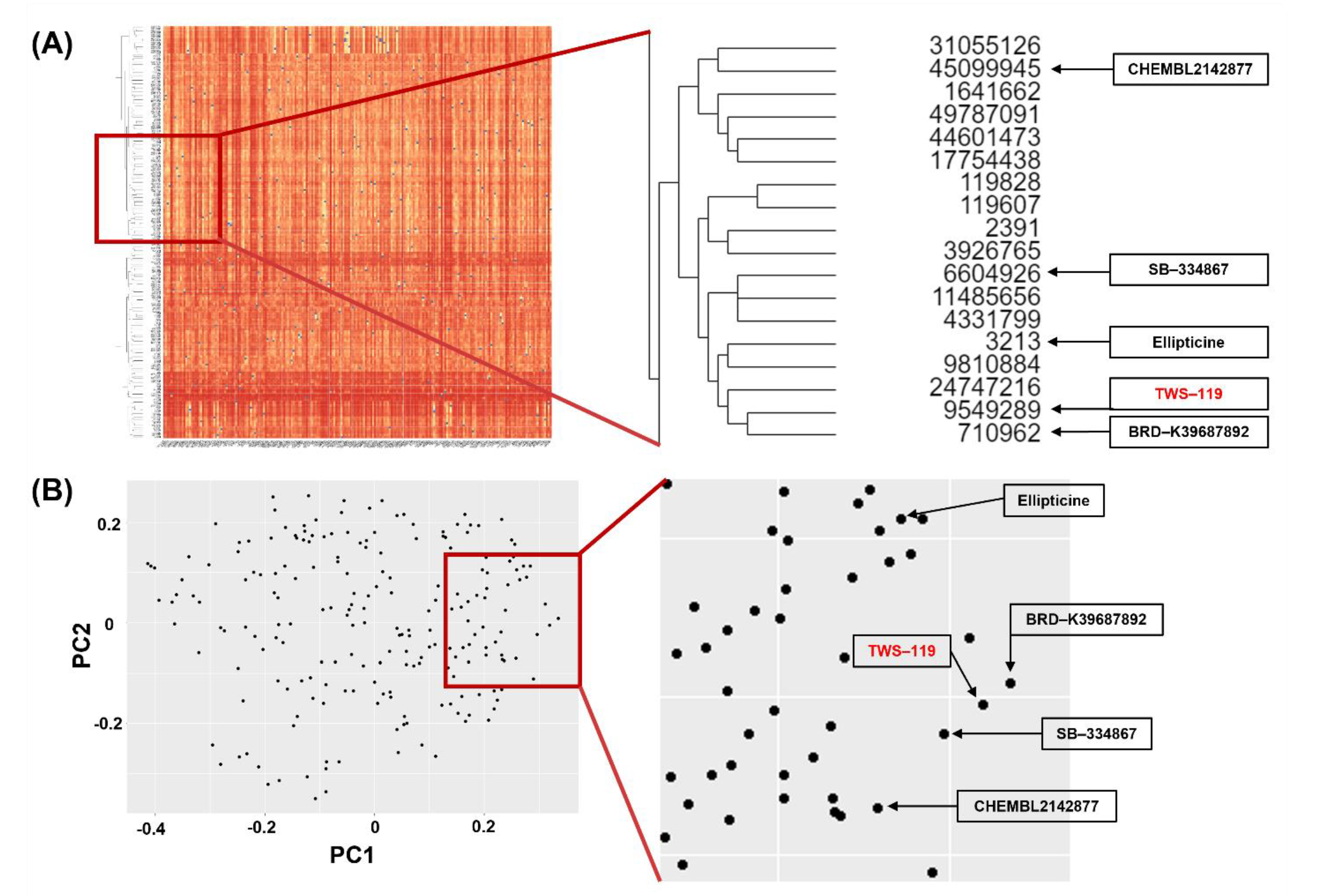 Ijms 22 09067 g001 Ijms 22 09067 g001