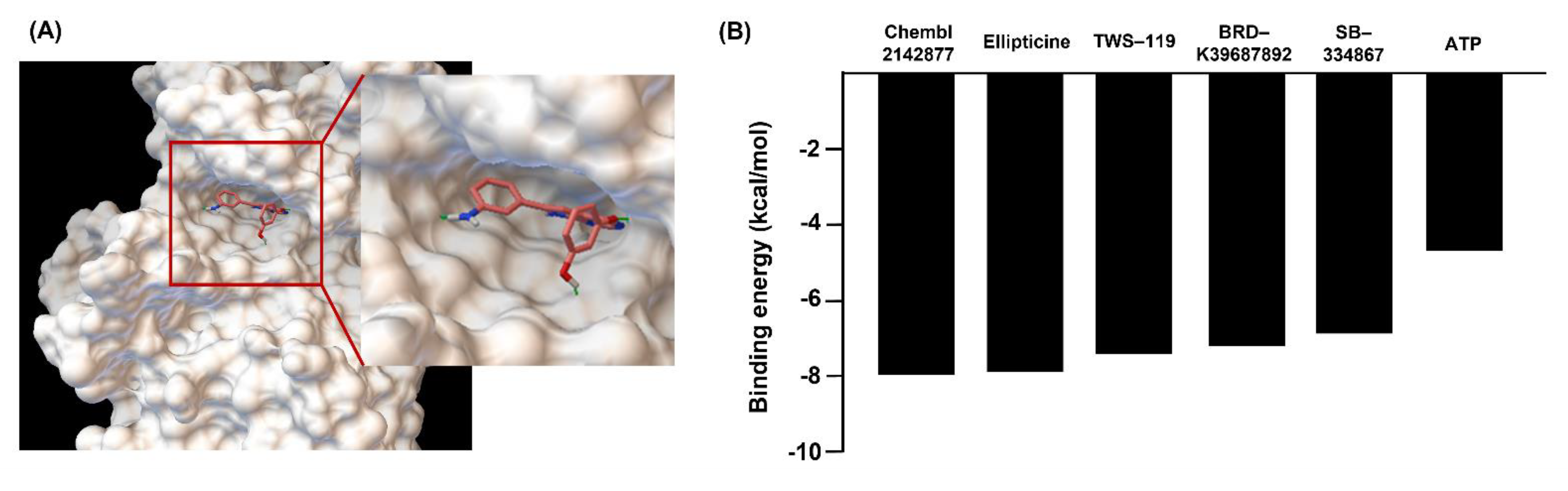 Ijms 22 09067 g002 Ijms 22 09067 g002