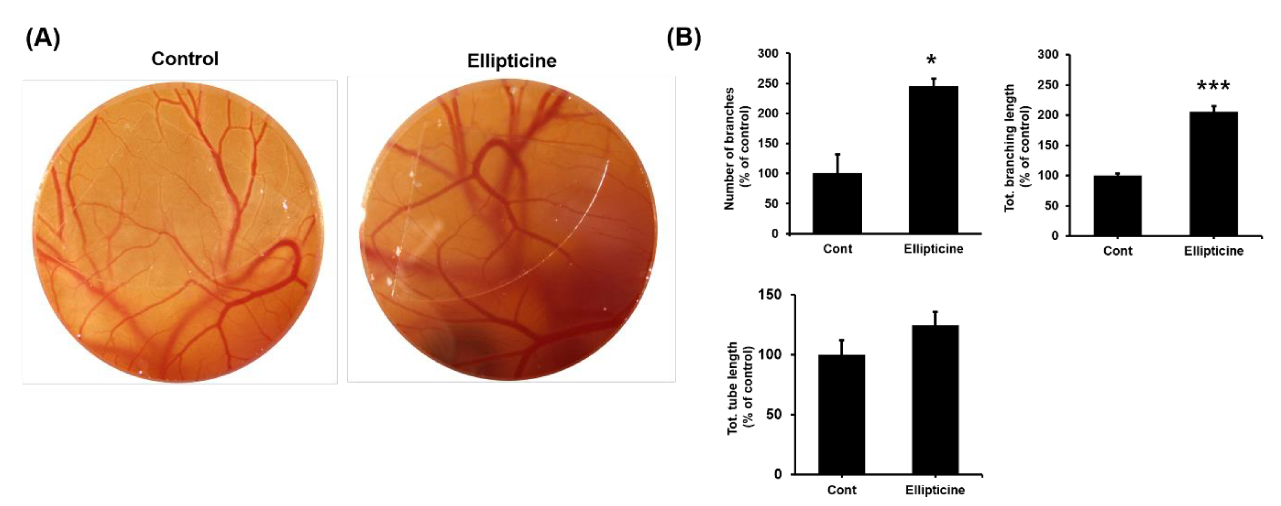 Ijms 22 09067 g006 Ijms 22 09067 g006