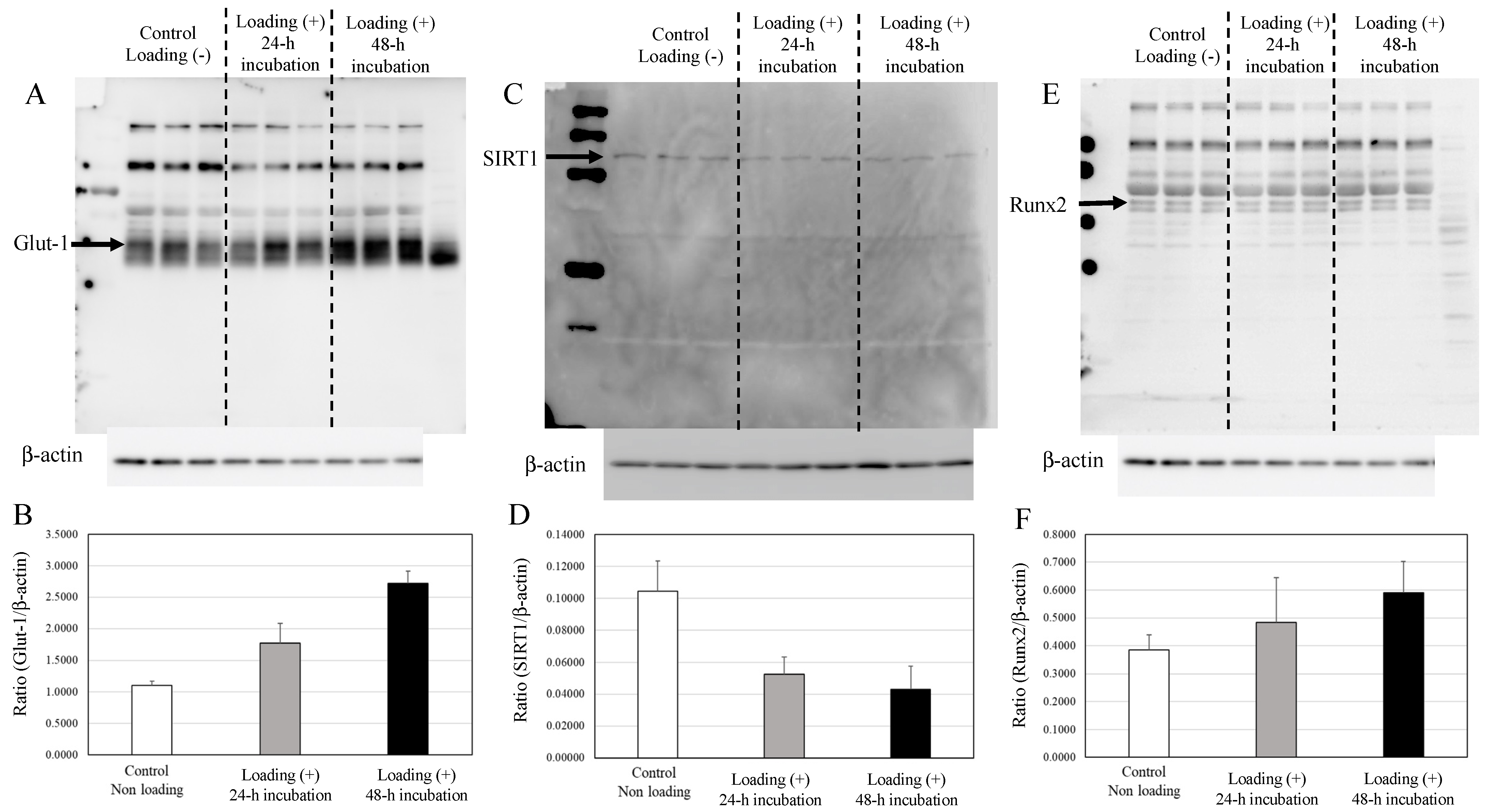 Ijms 22 09070 g005 Ijms 22 09070 g005