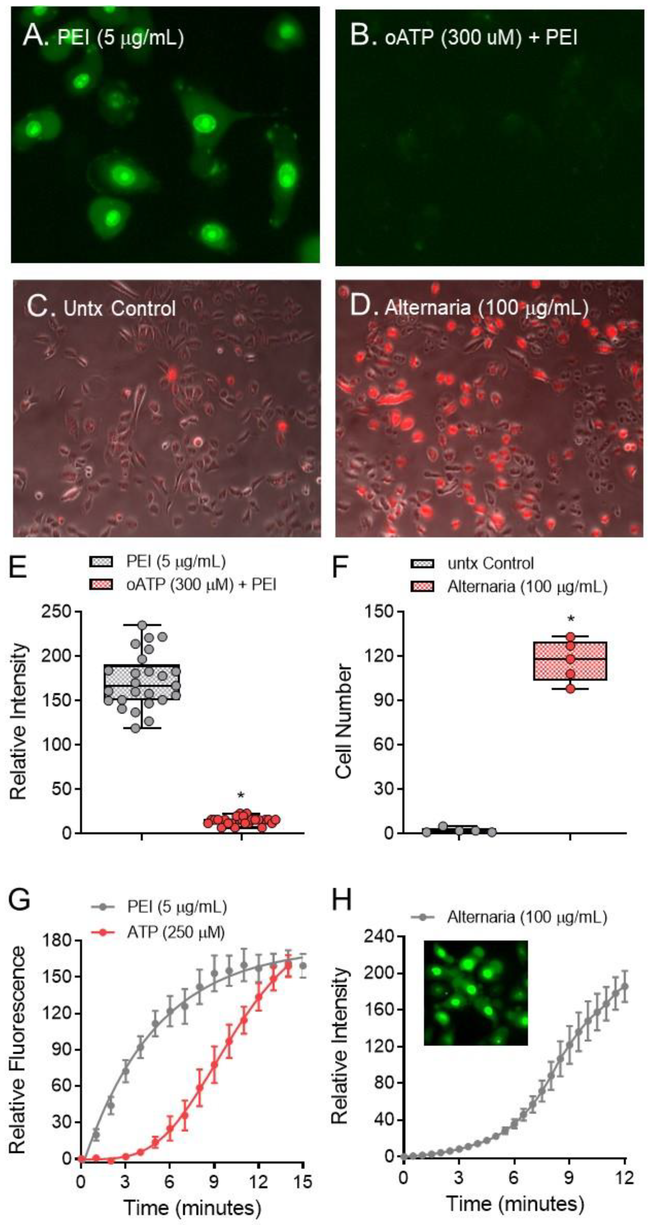 Ijms 22 09071 g003 550
