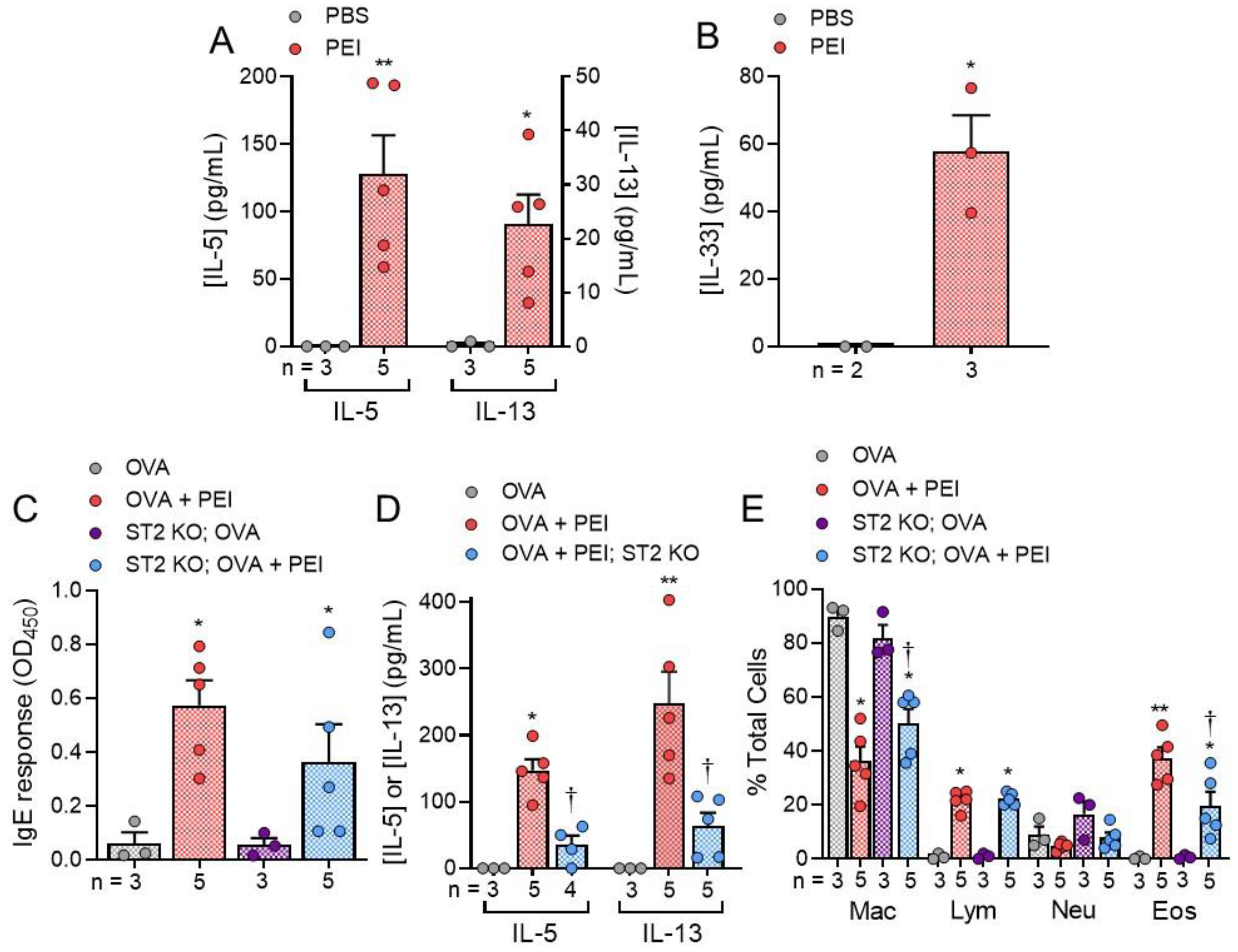 Ijms 22 09071 g006 550