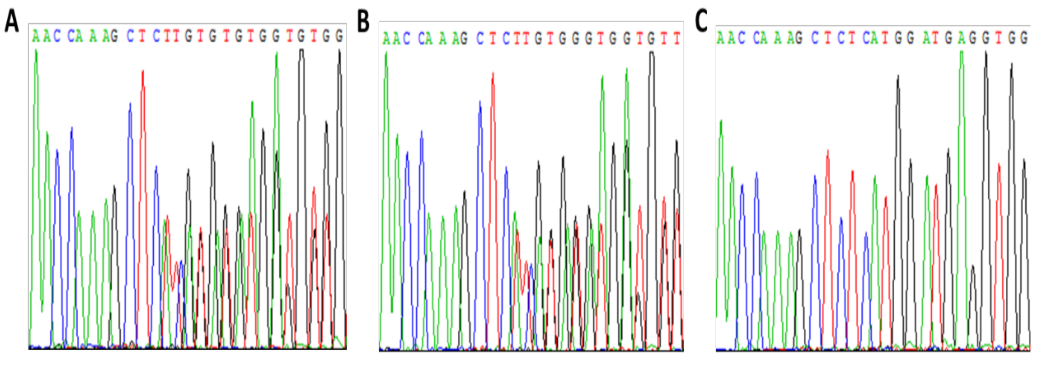 Ijms 22 09074 g001 Ijms 22 09074 g001