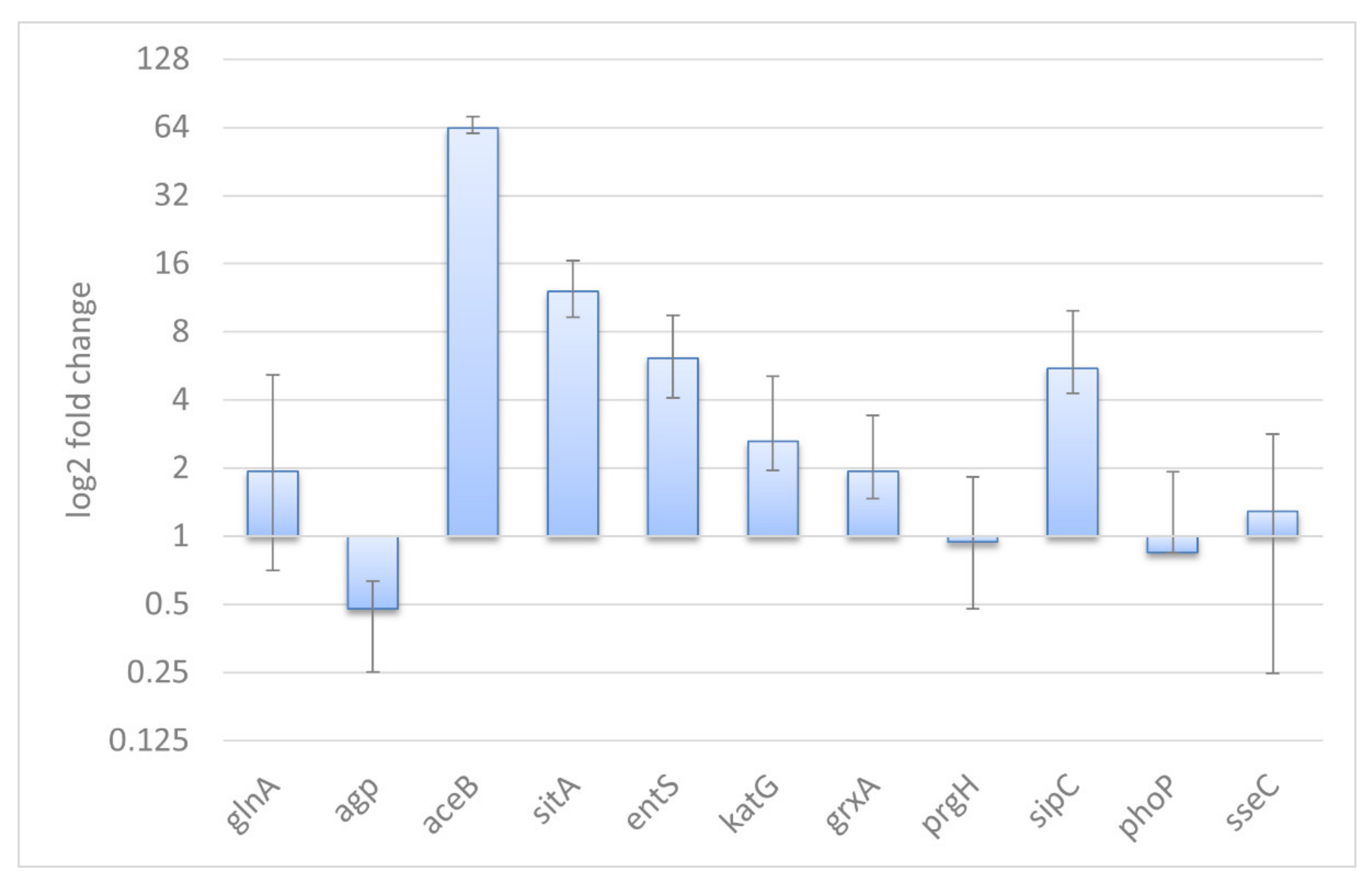 Ijms 22 09077 g002 Ijms 22 09077 g002