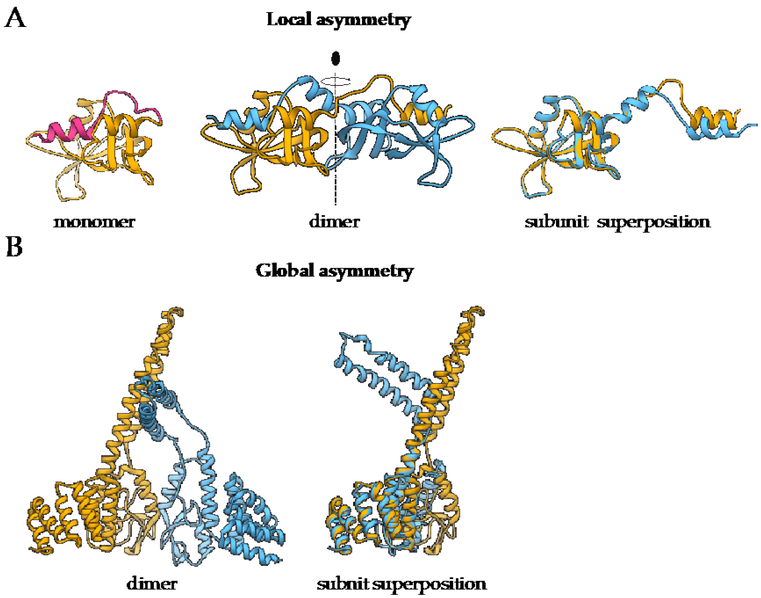Monomer Structure Of Proteins