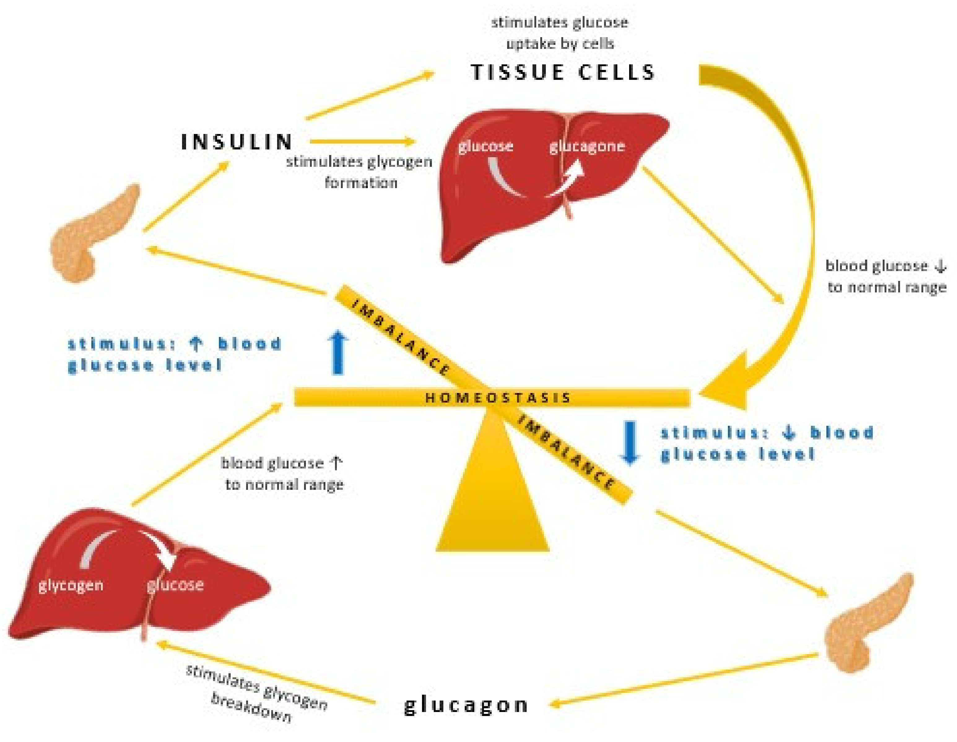 Ijms 22 09083 g003 550