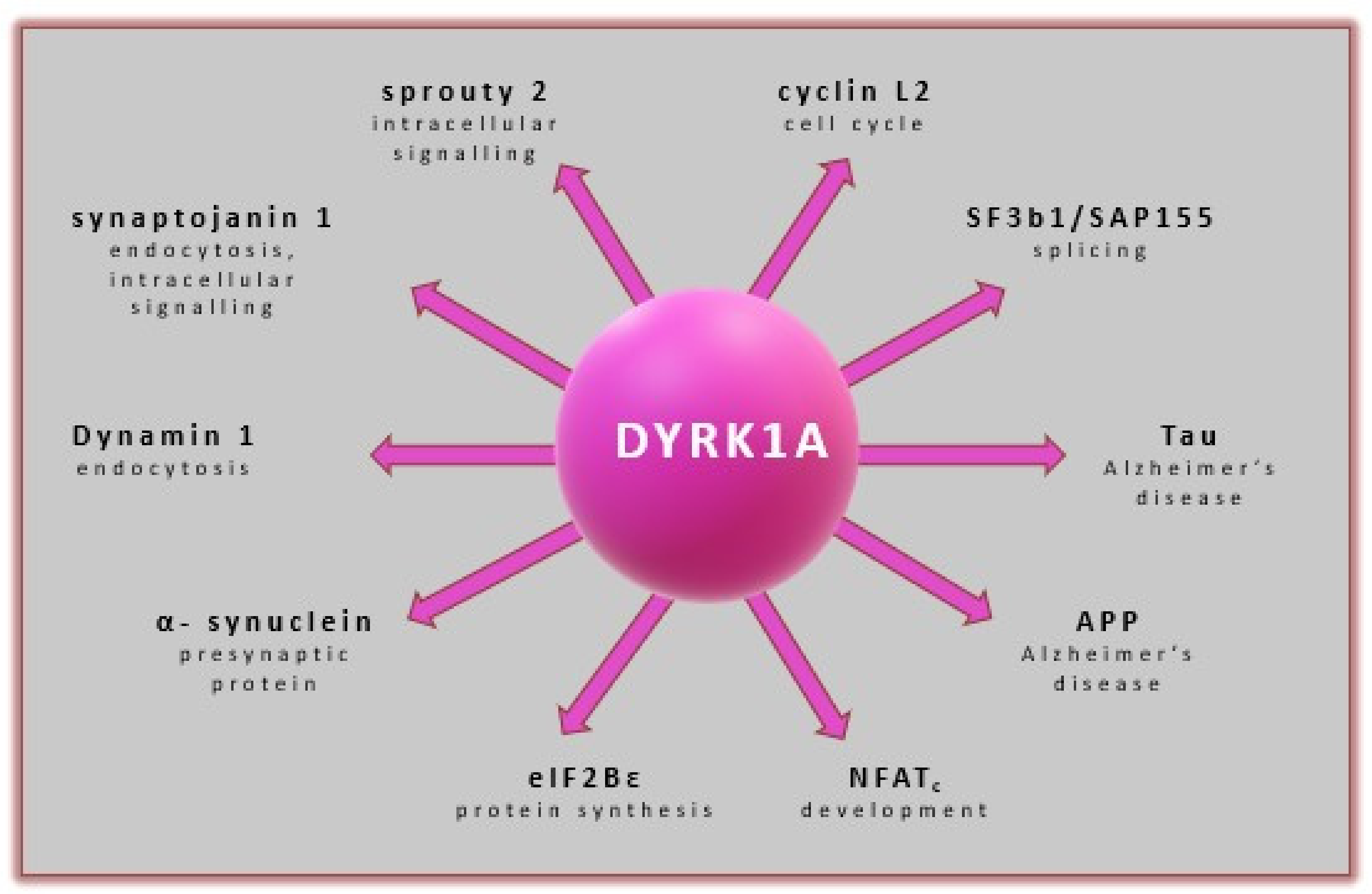 Ijms 22 09083 g007 550