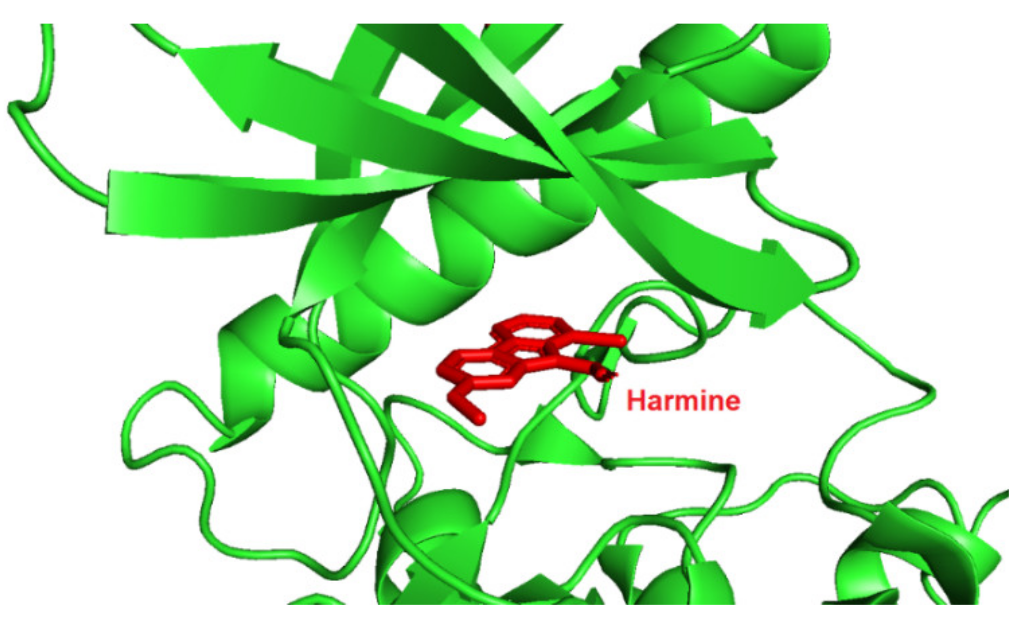 Ijms 22 09083 g009 550