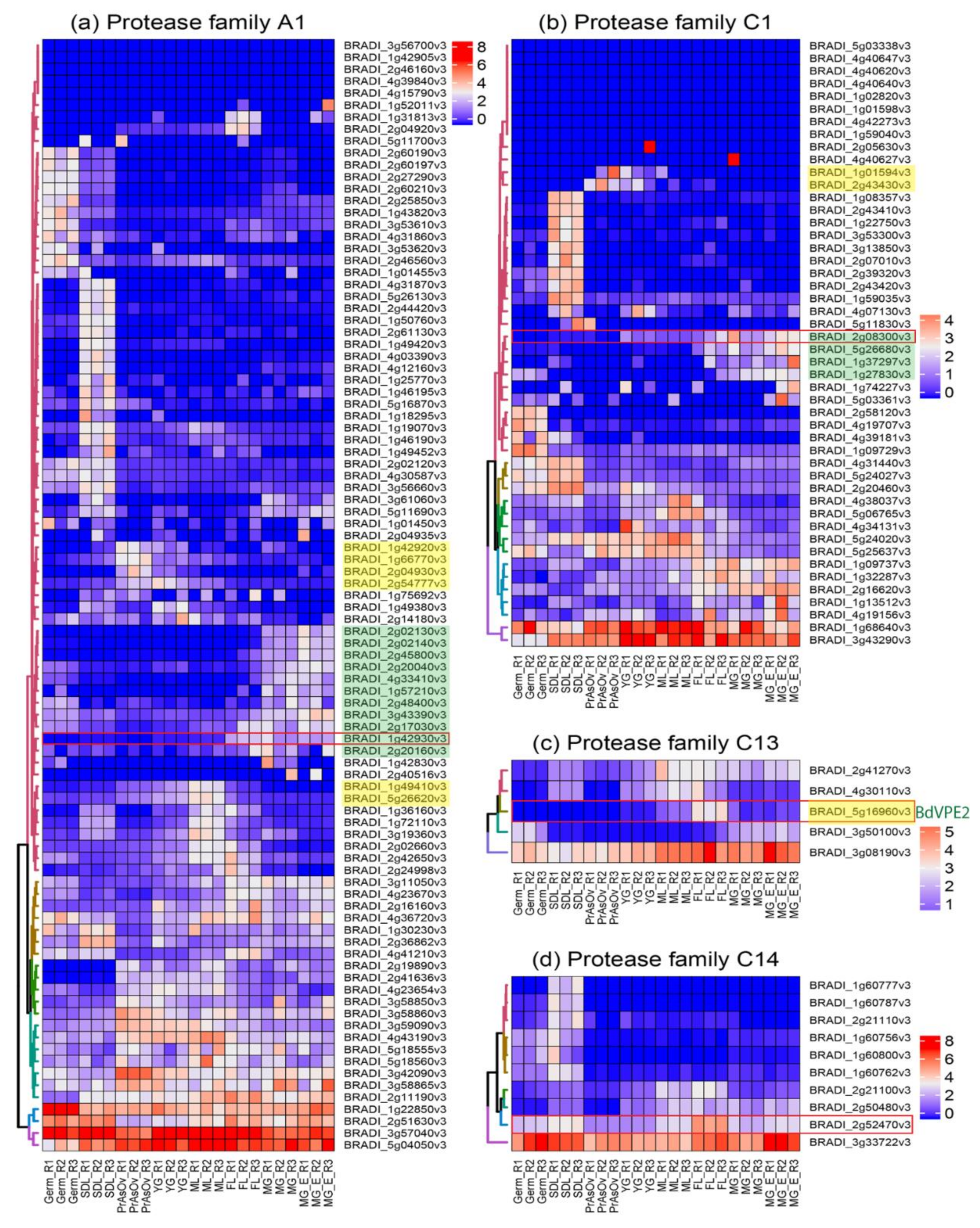 Ijms 22 09086 g005 Ijms 22 09086 g005