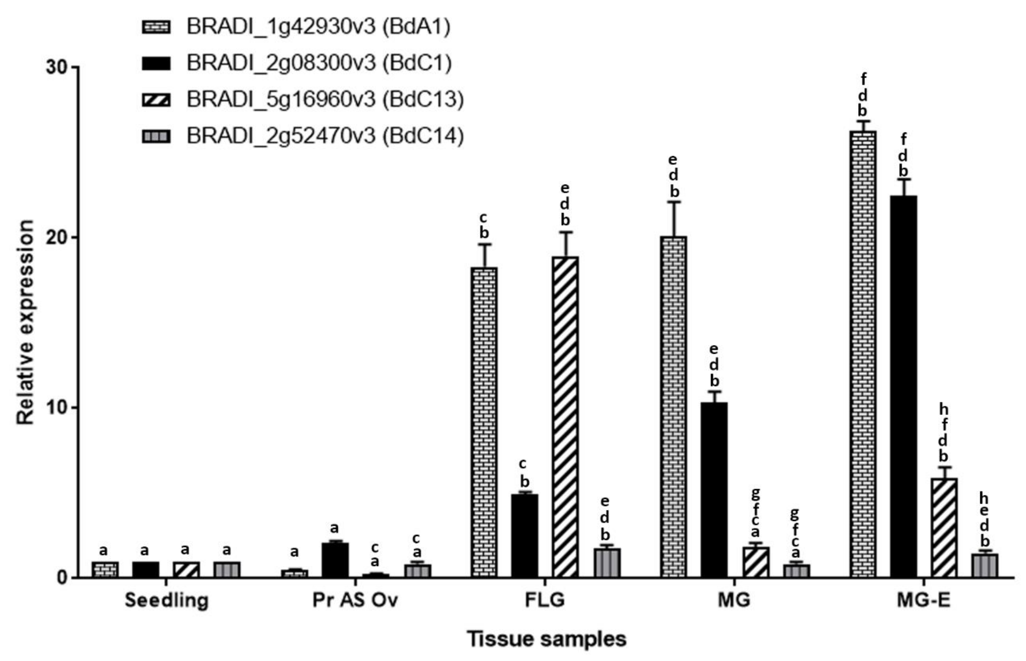 Ijms 22 09086 g006 Ijms 22 09086 g006