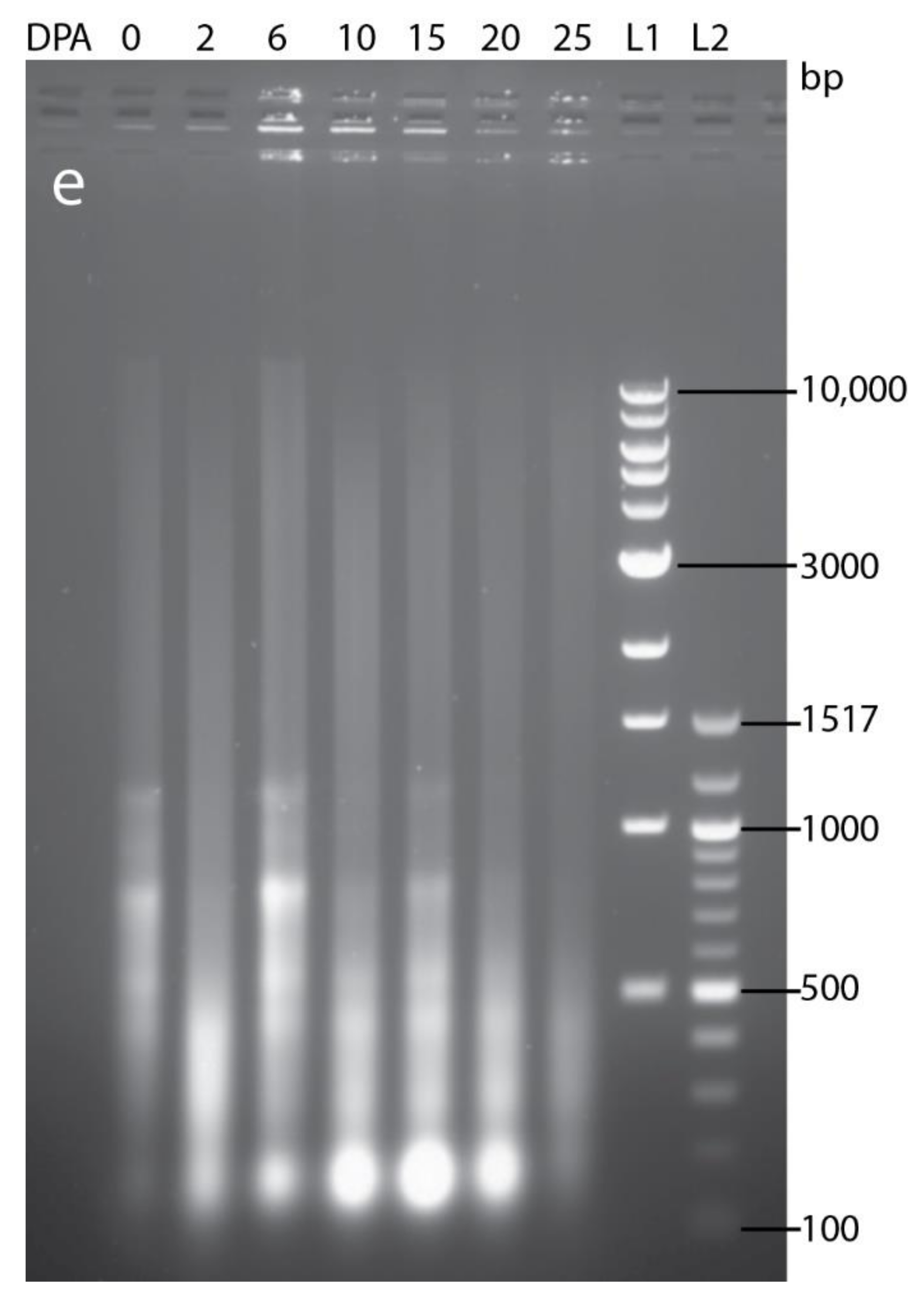 Ijms 22 09086 g0a2 Ijms 22 09086 g0a2