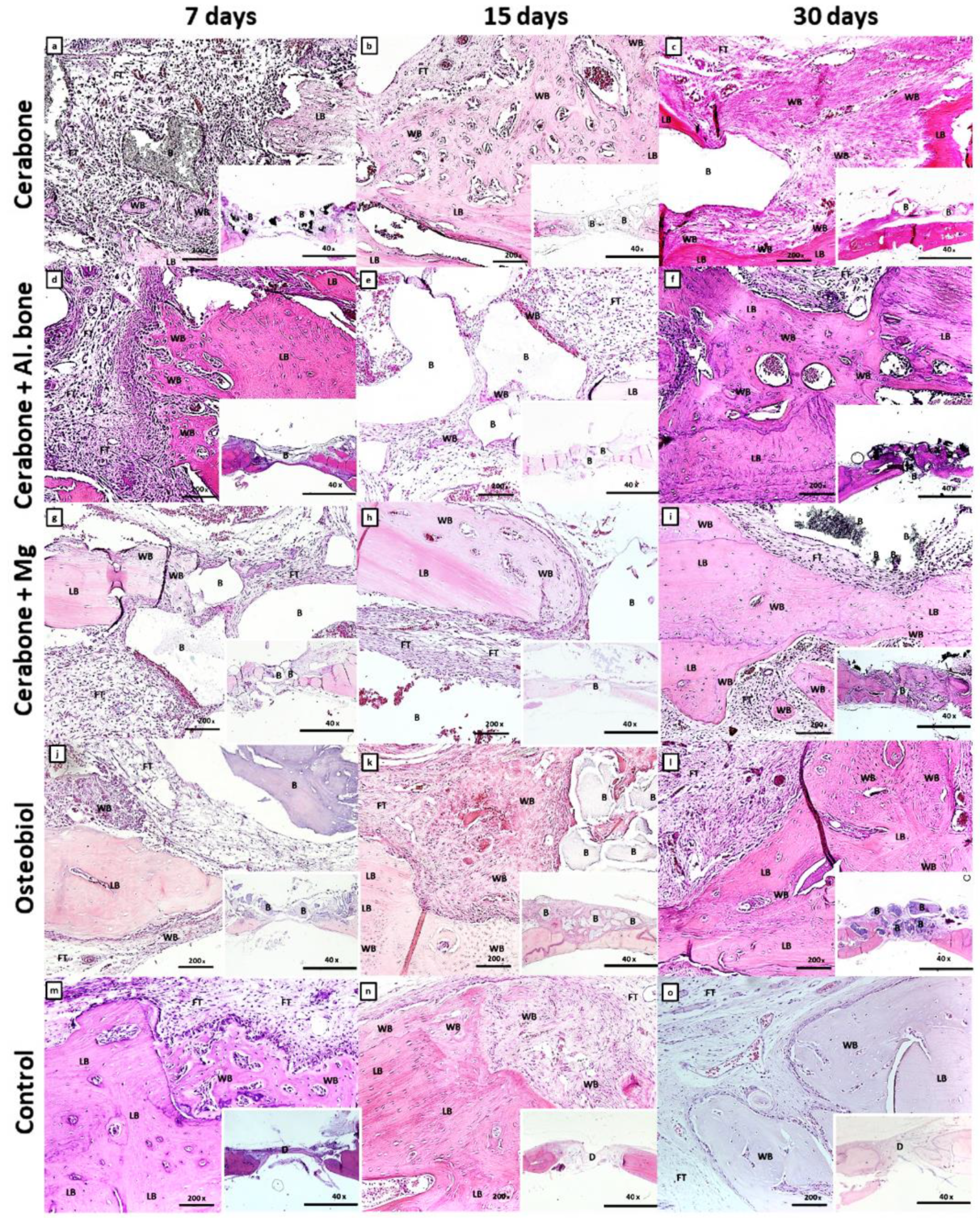 Ijms 22 09089 g002 Ijms 22 09089 g002