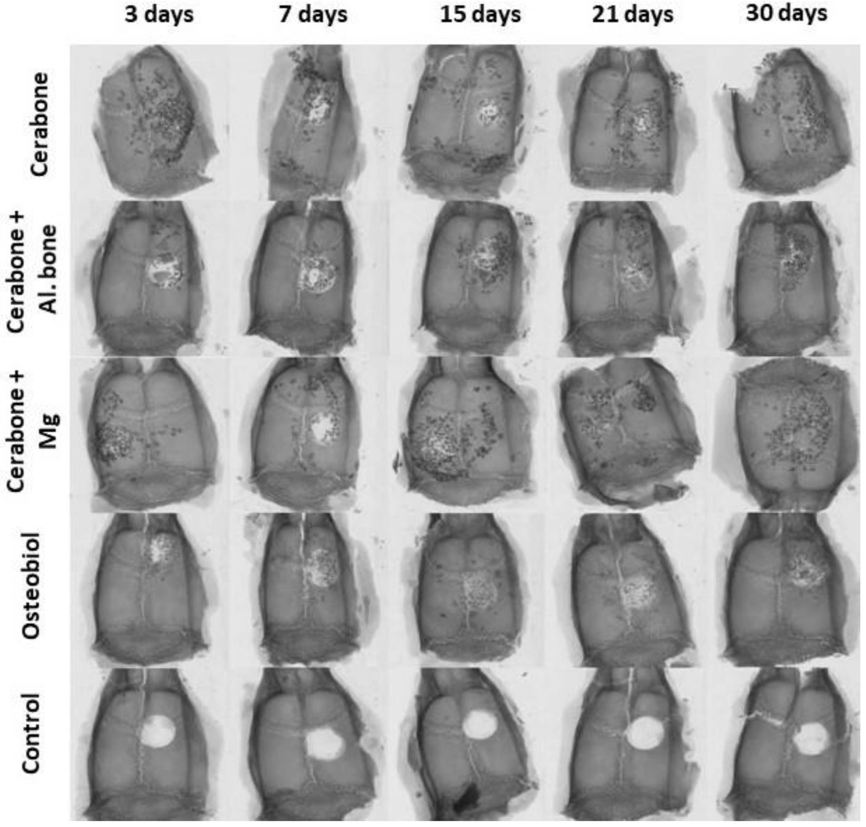 Ijms 22 09089 g005 Ijms 22 09089 g005