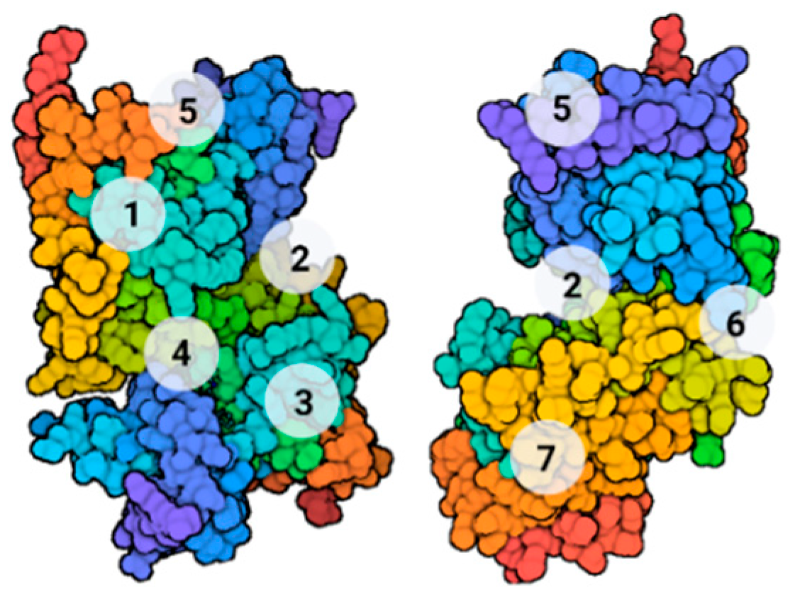 Ijms 22 09098 g003 Ijms 22 09098 g003