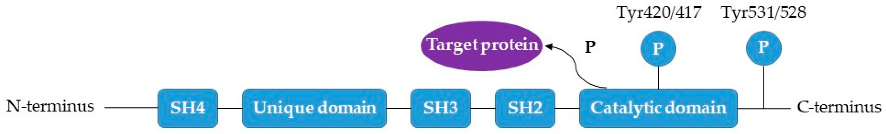 Ijms 22 09098 g004 Ijms 22 09098 g004