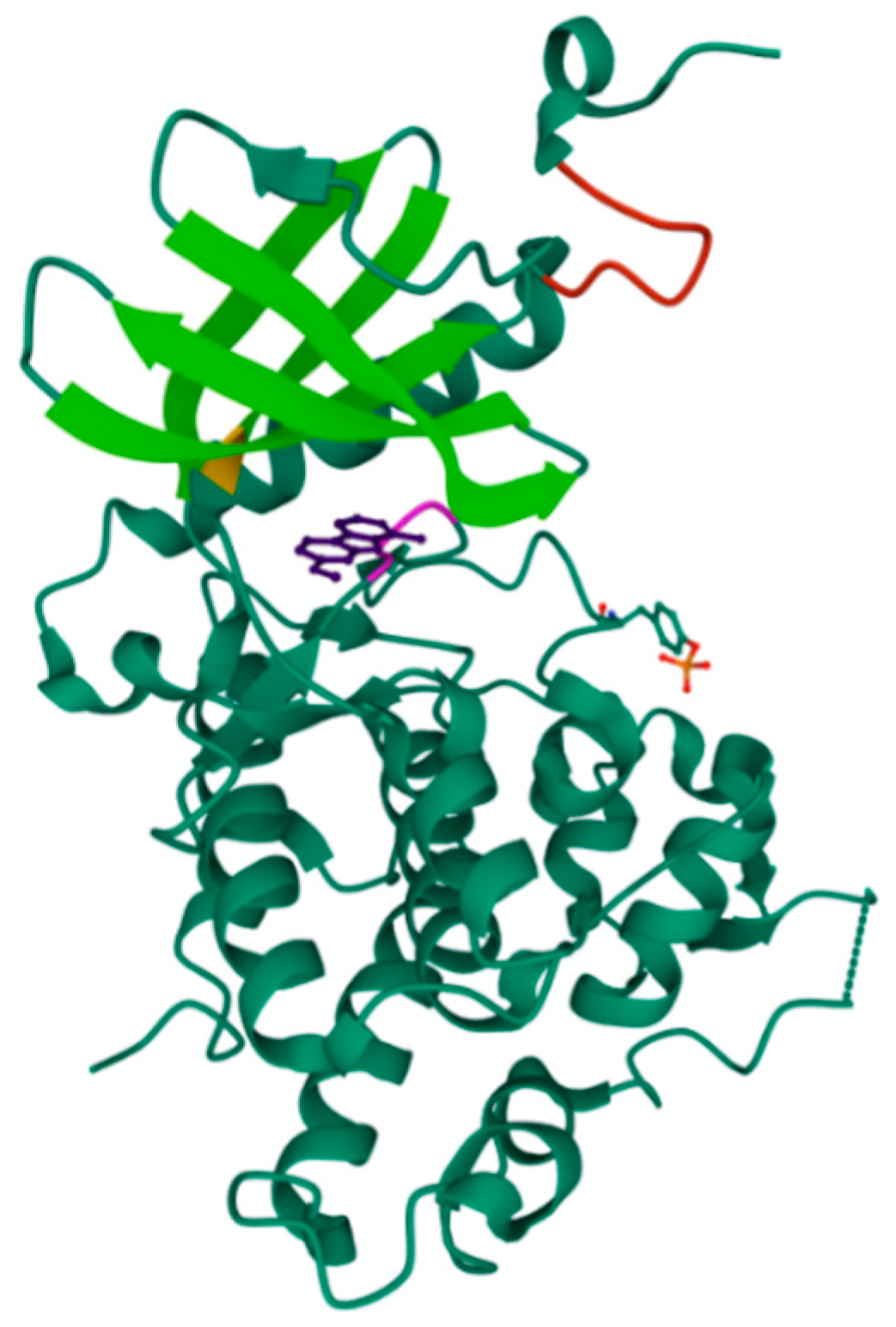 Ijms 22 09098 g005 Ijms 22 09098 g005