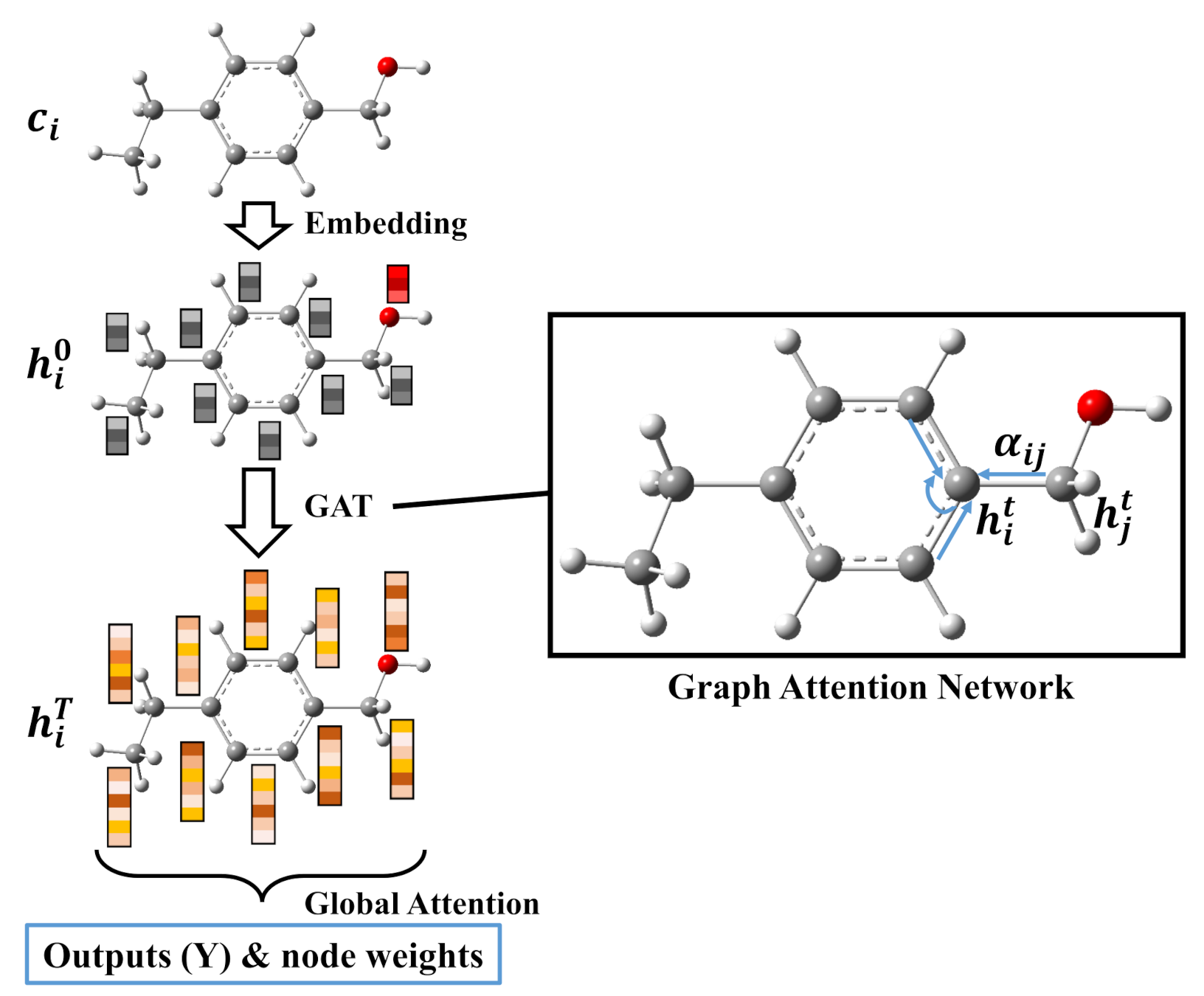 Ijms 22 09099 g002 550