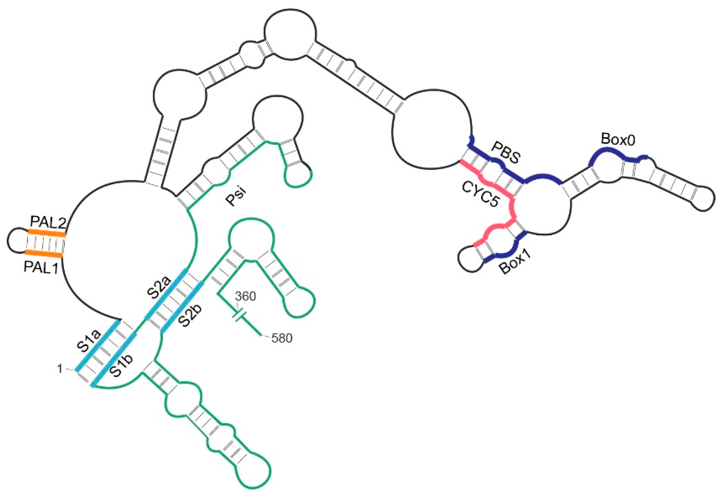 Ijms 22 09103 g001 Ijms 22 09103 g001