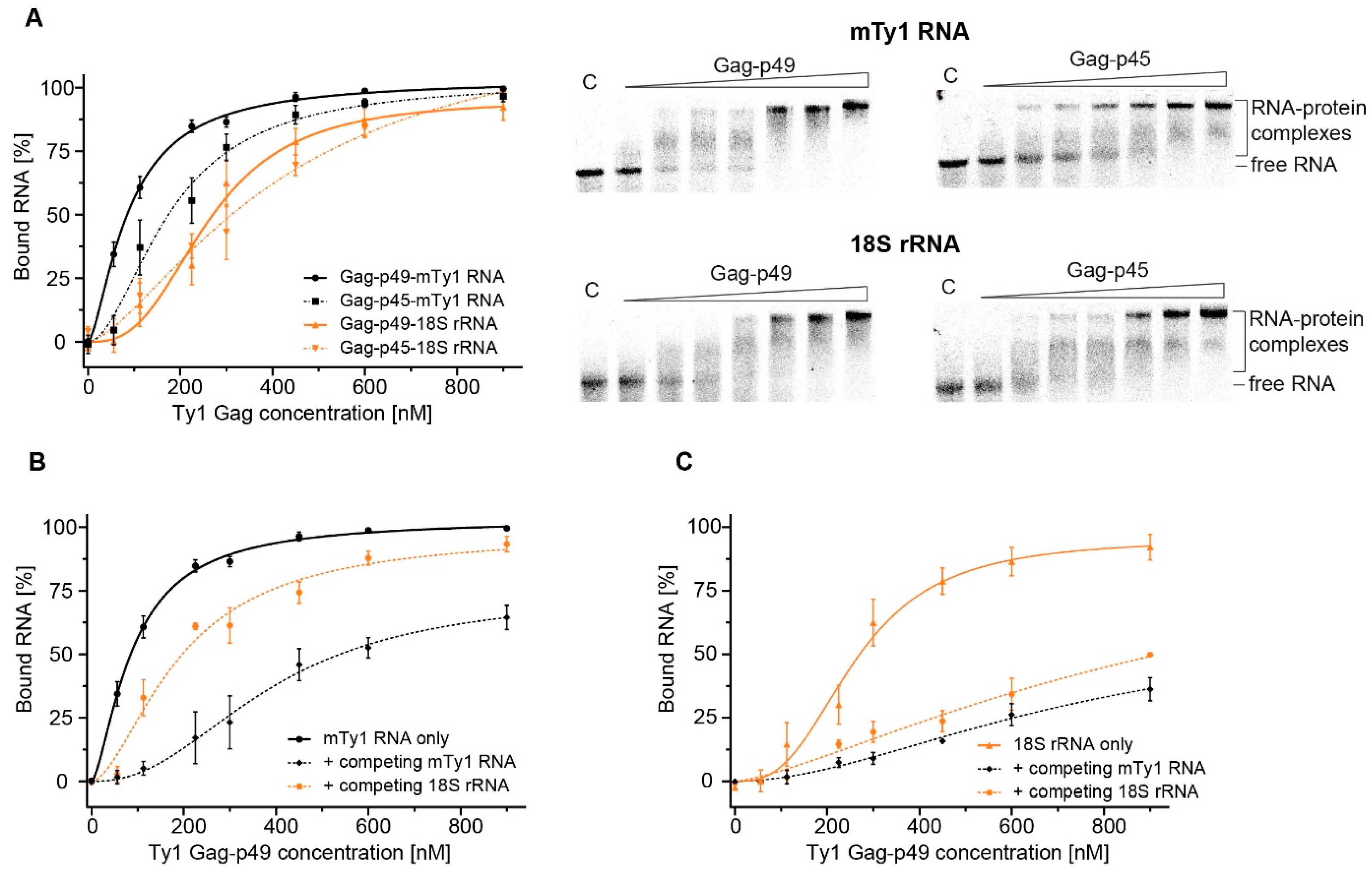 Ijms 22 09103 g004 Ijms 22 09103 g004