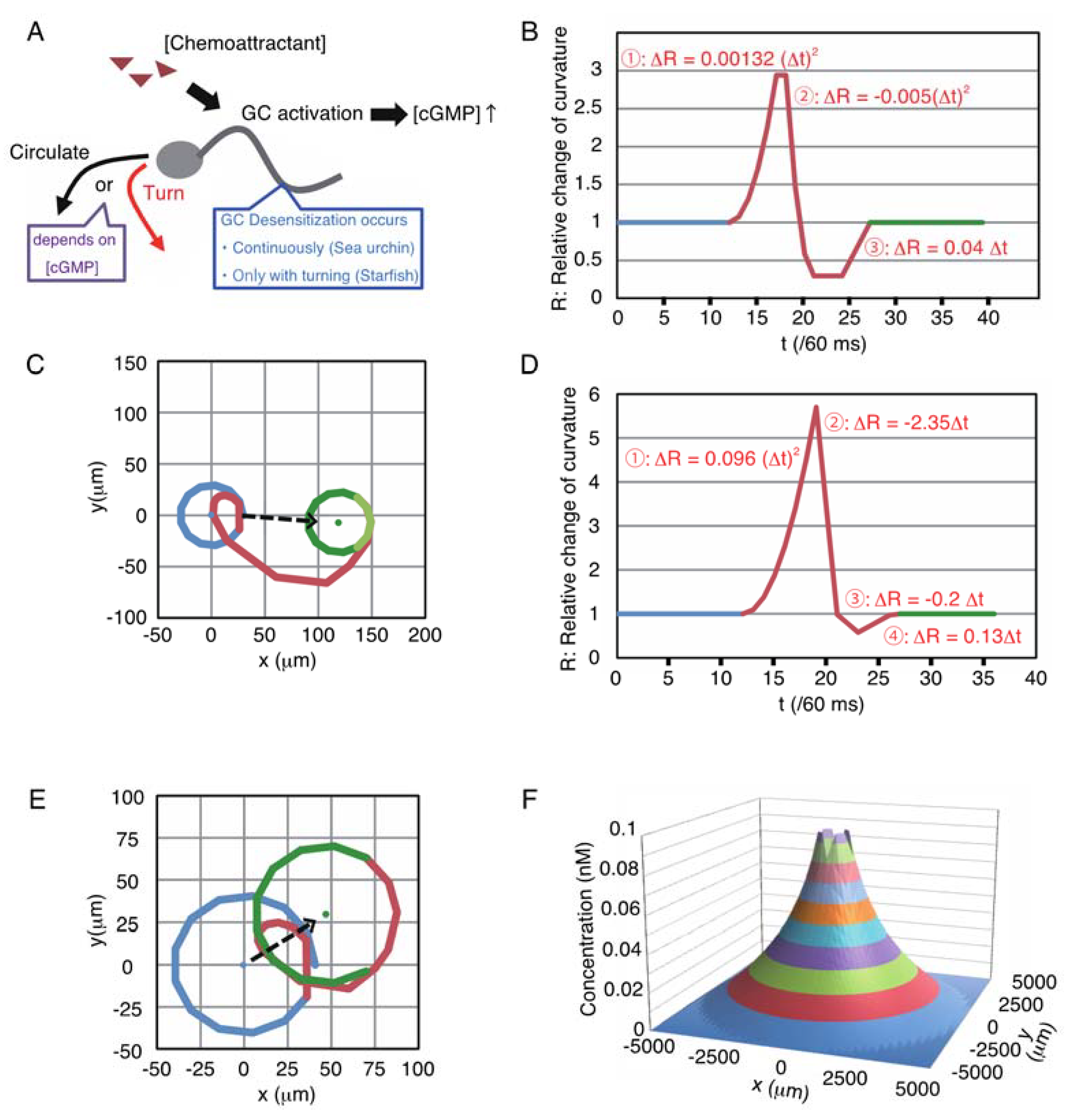 Ijms 22 09104 g001 550