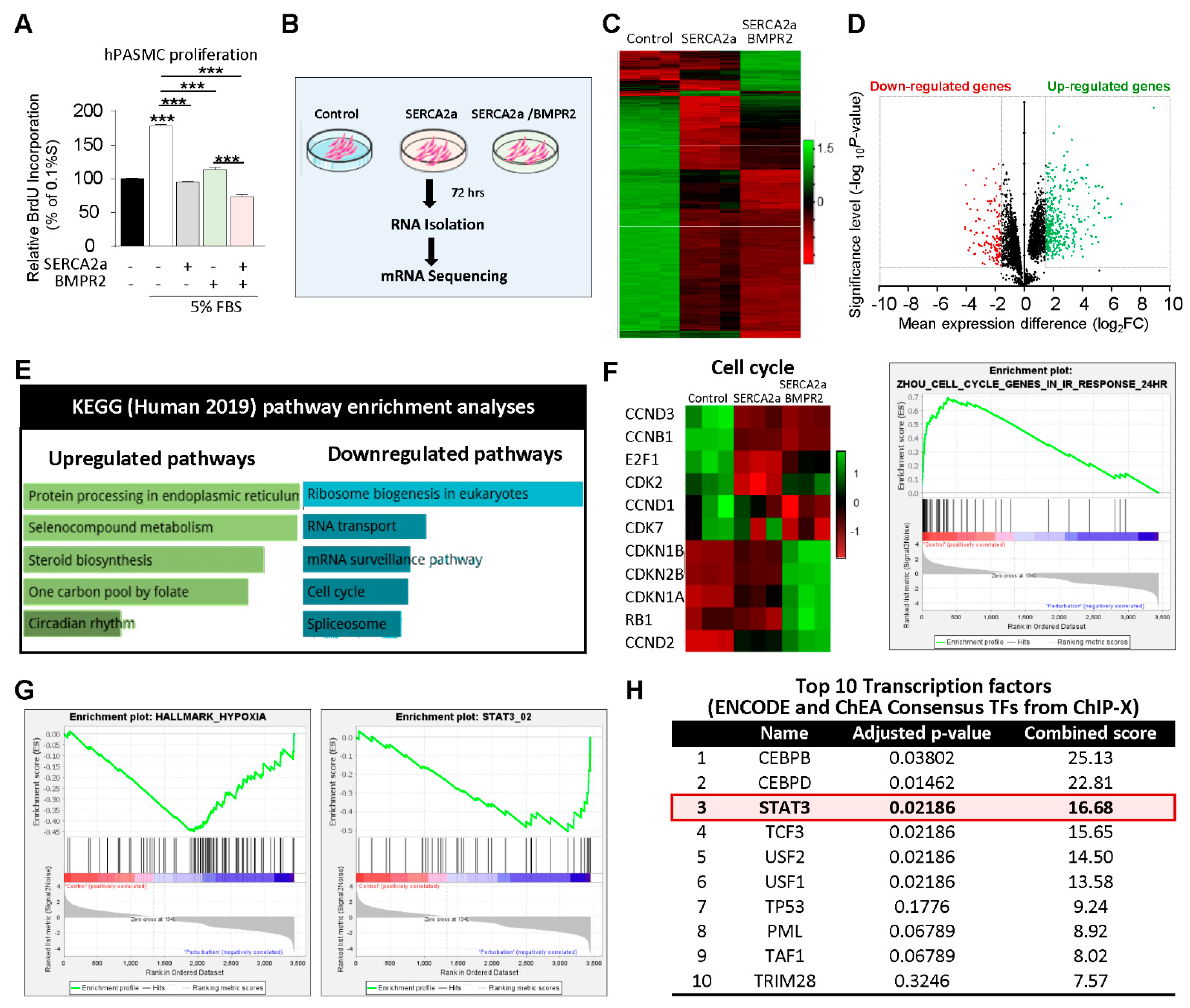 Ijms 22 09105 g002 550