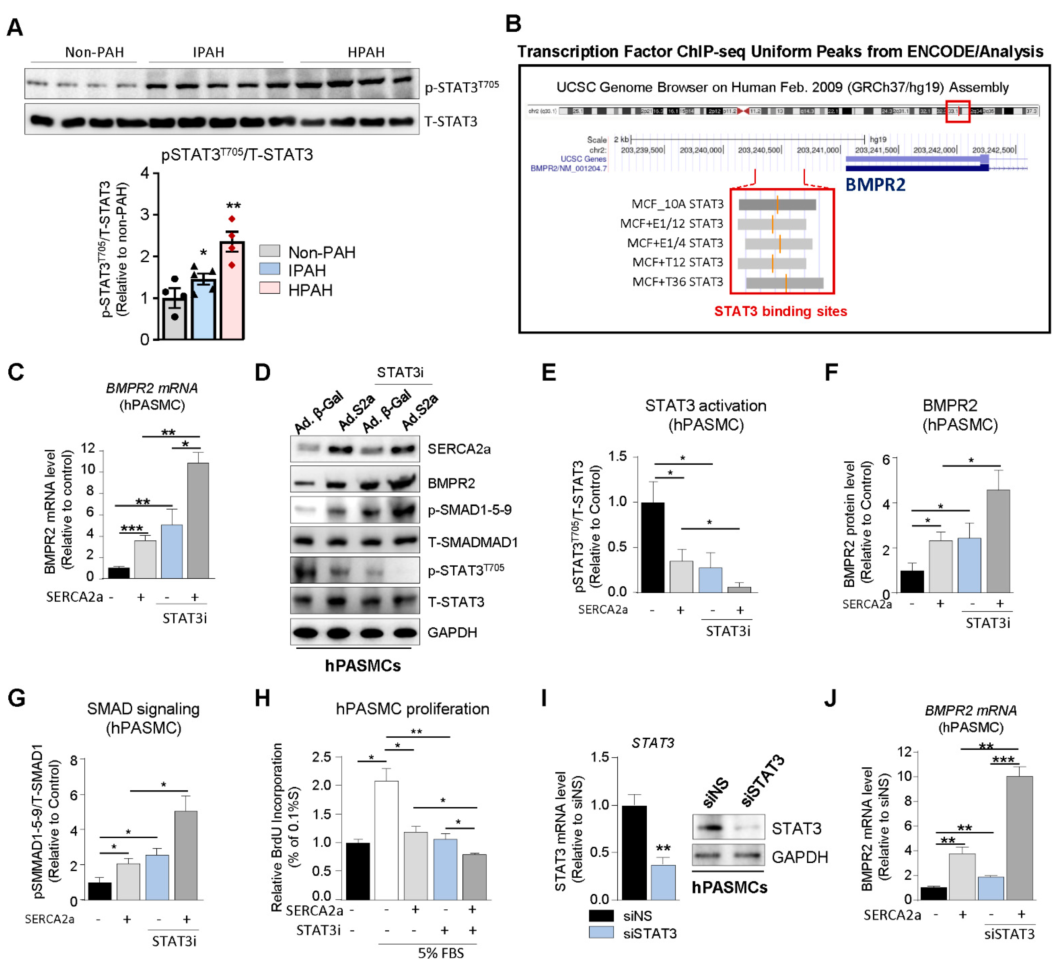 Ijms 22 09105 g003 550