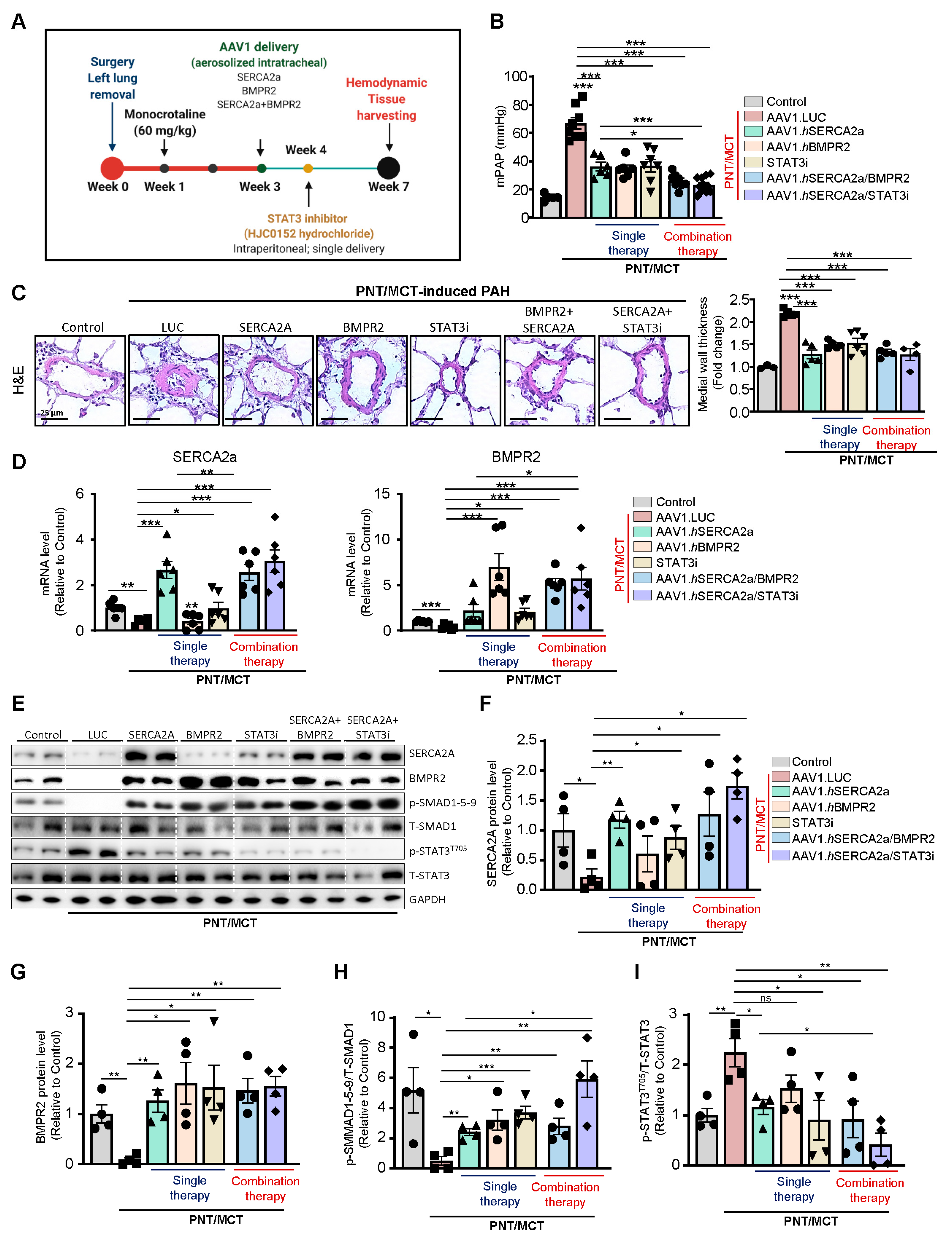 Ijms 22 09105 g005 550