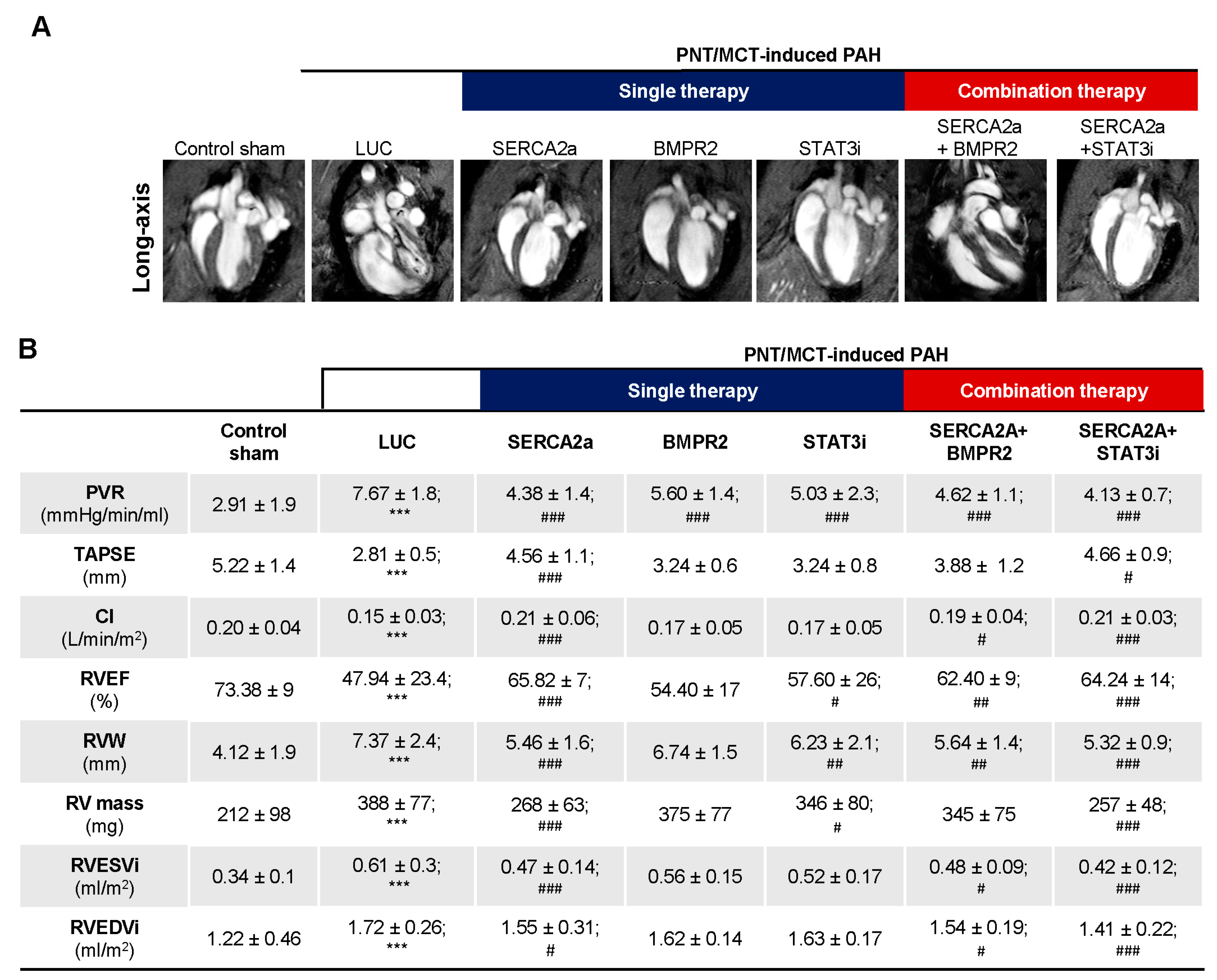 Ijms 22 09105 g006 550