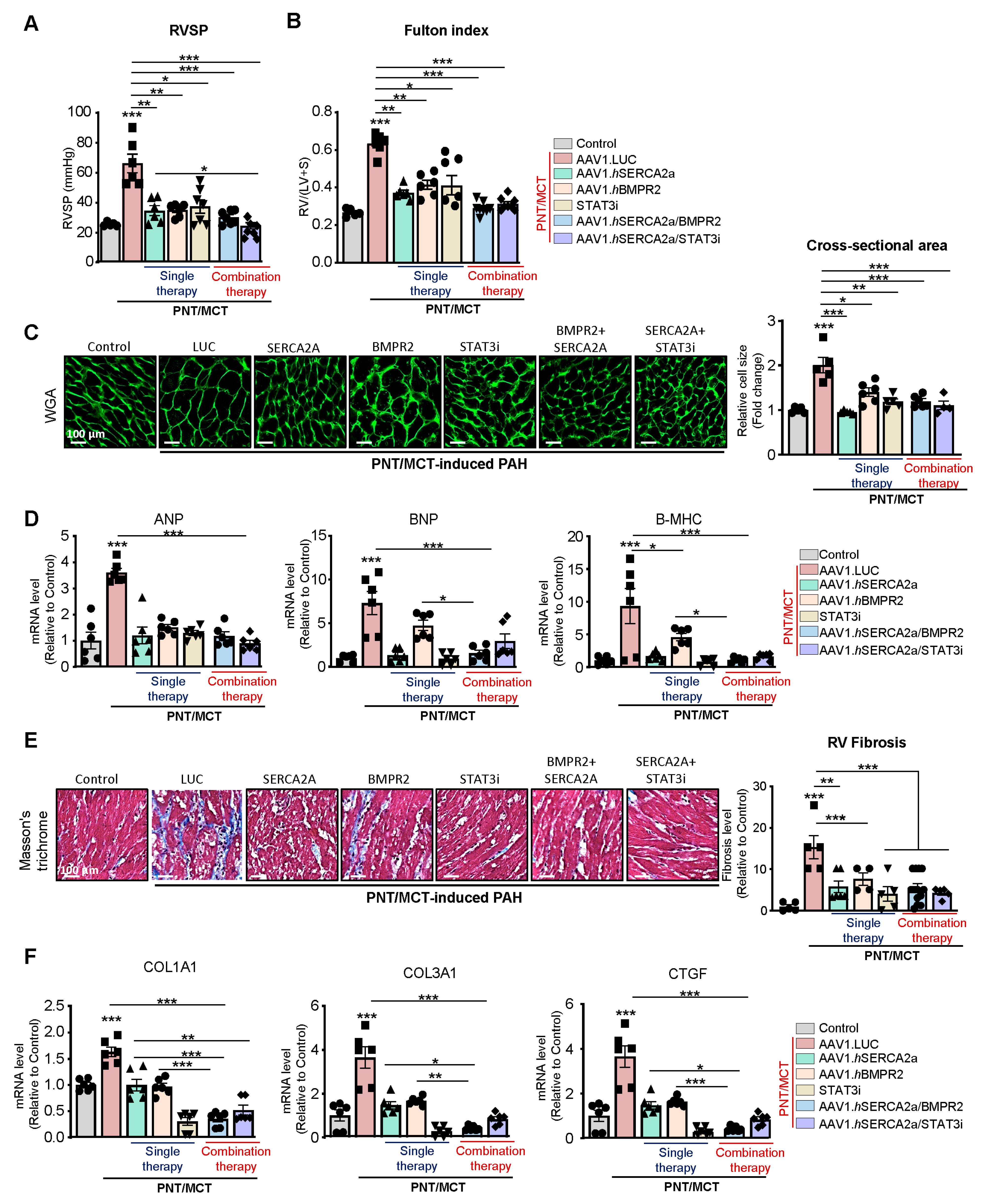 Ijms 22 09105 g007 550