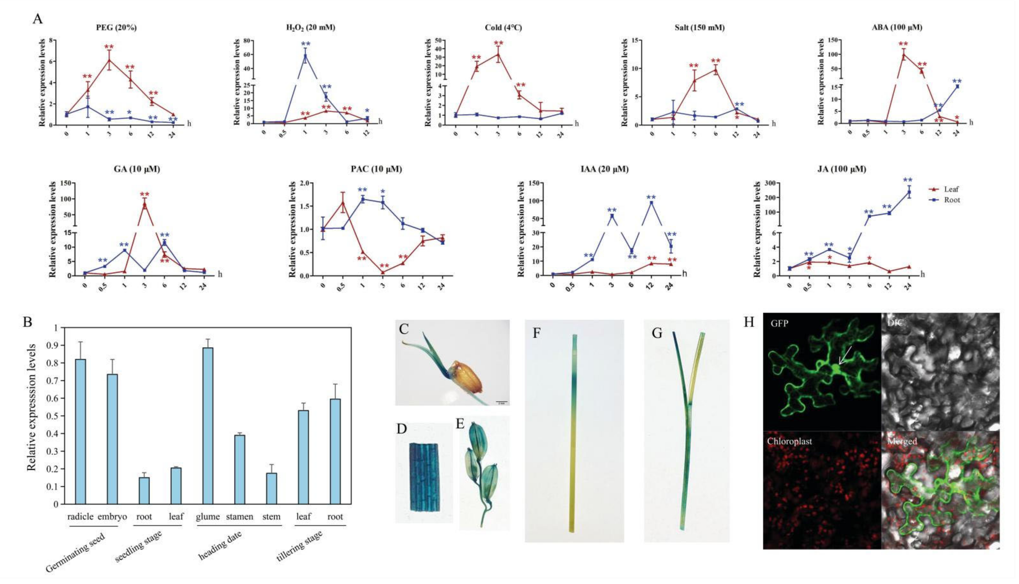Ijms 22 09107 g002 550