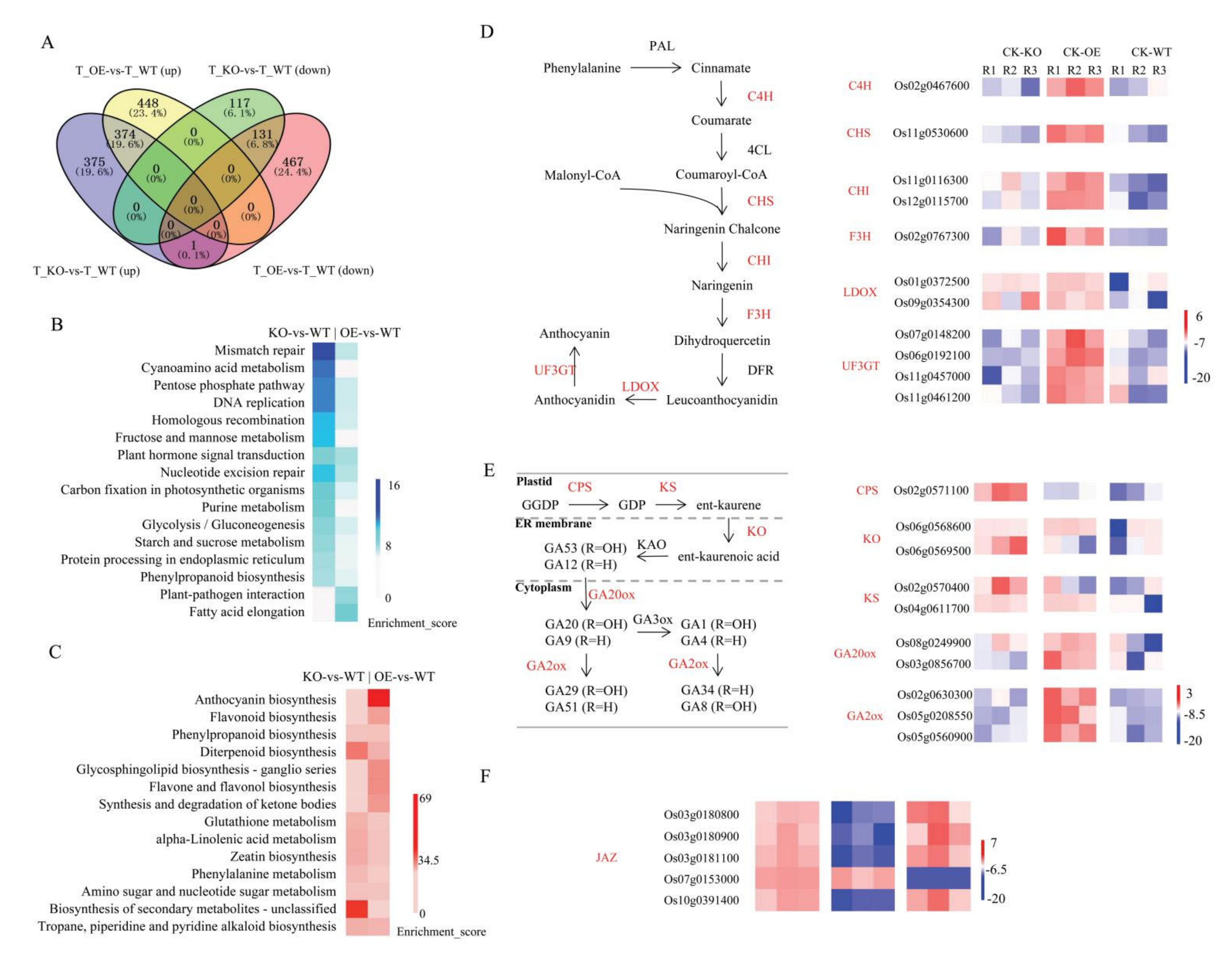 Ijms 22 09107 g006 550