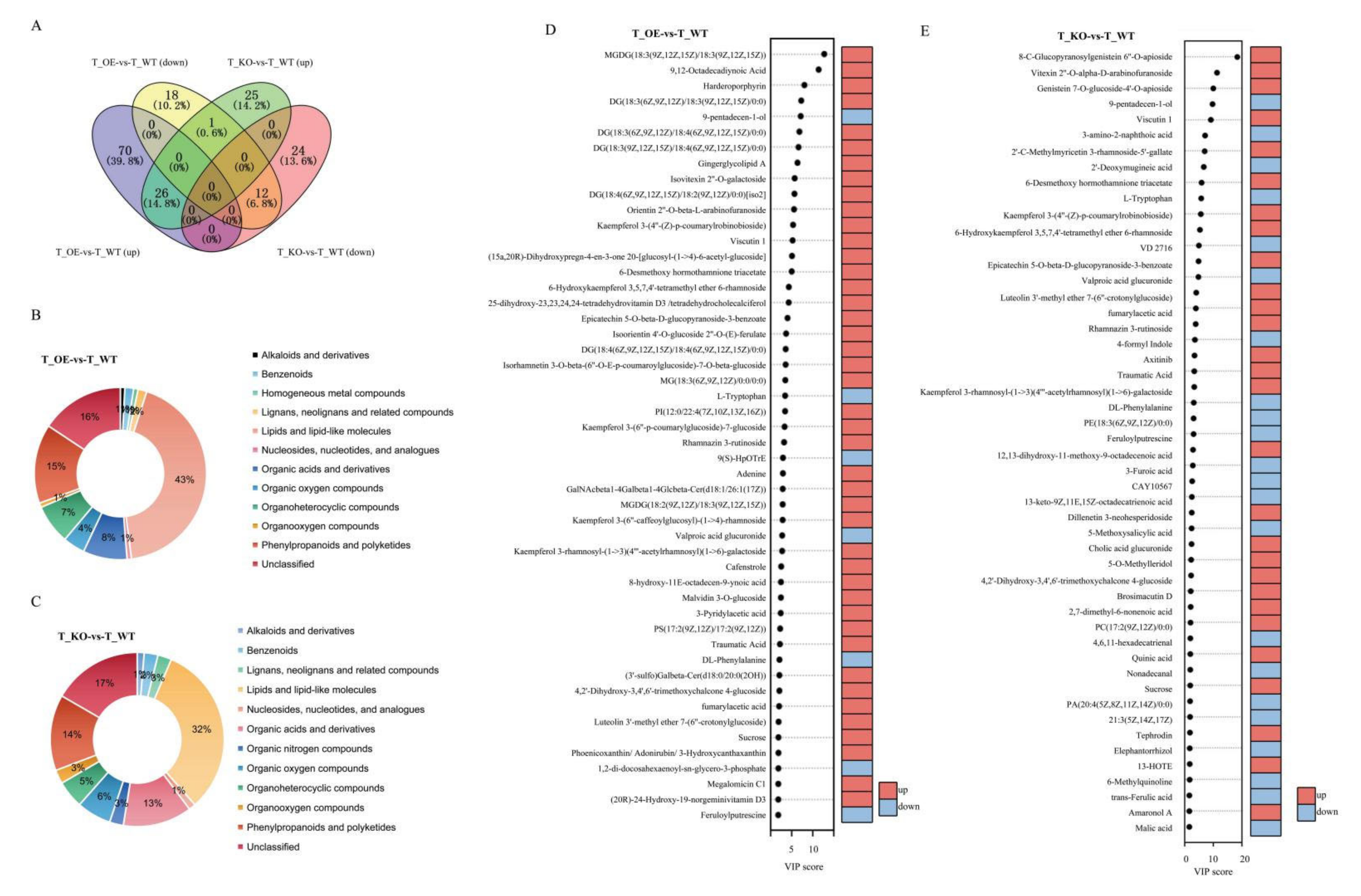 Ijms 22 09107 g007 550
