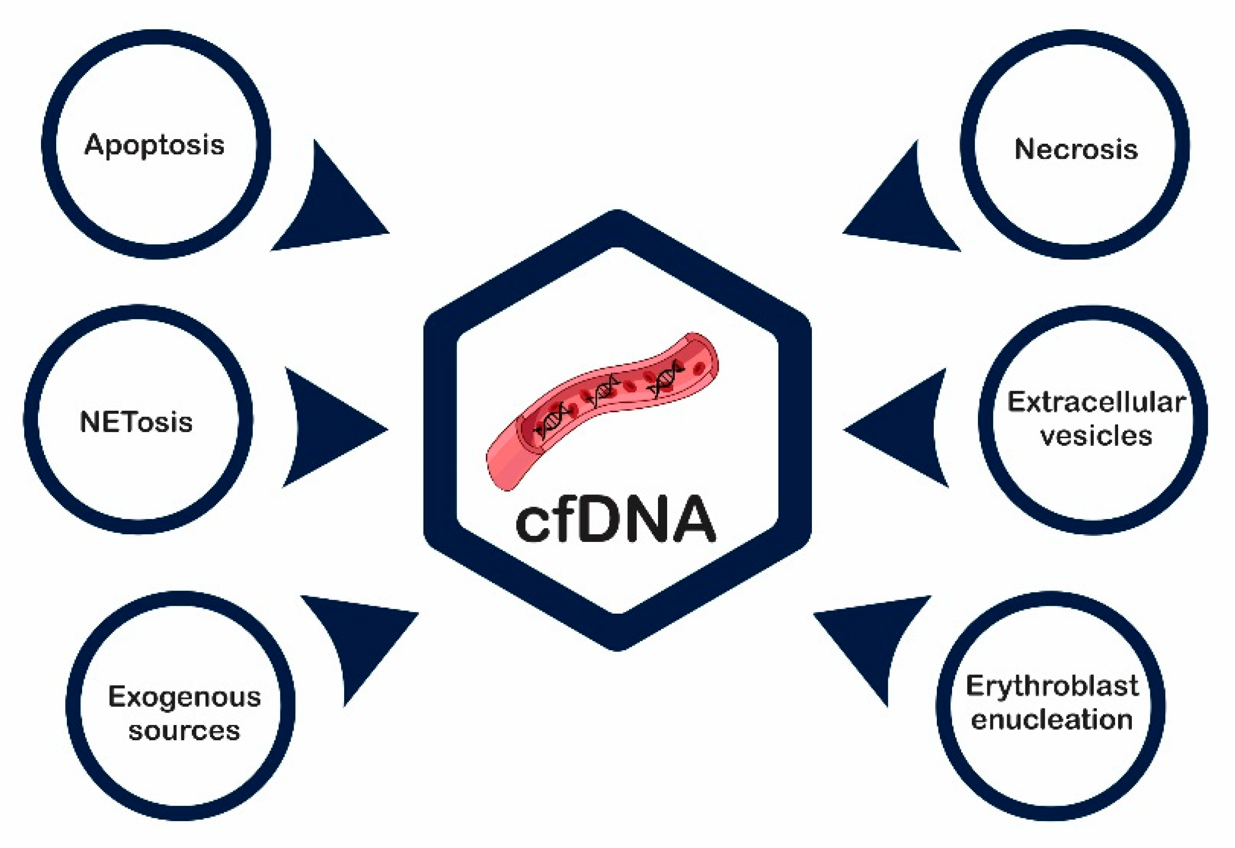 Ijms 22 09110 g002 Ijms 22 09110 g002