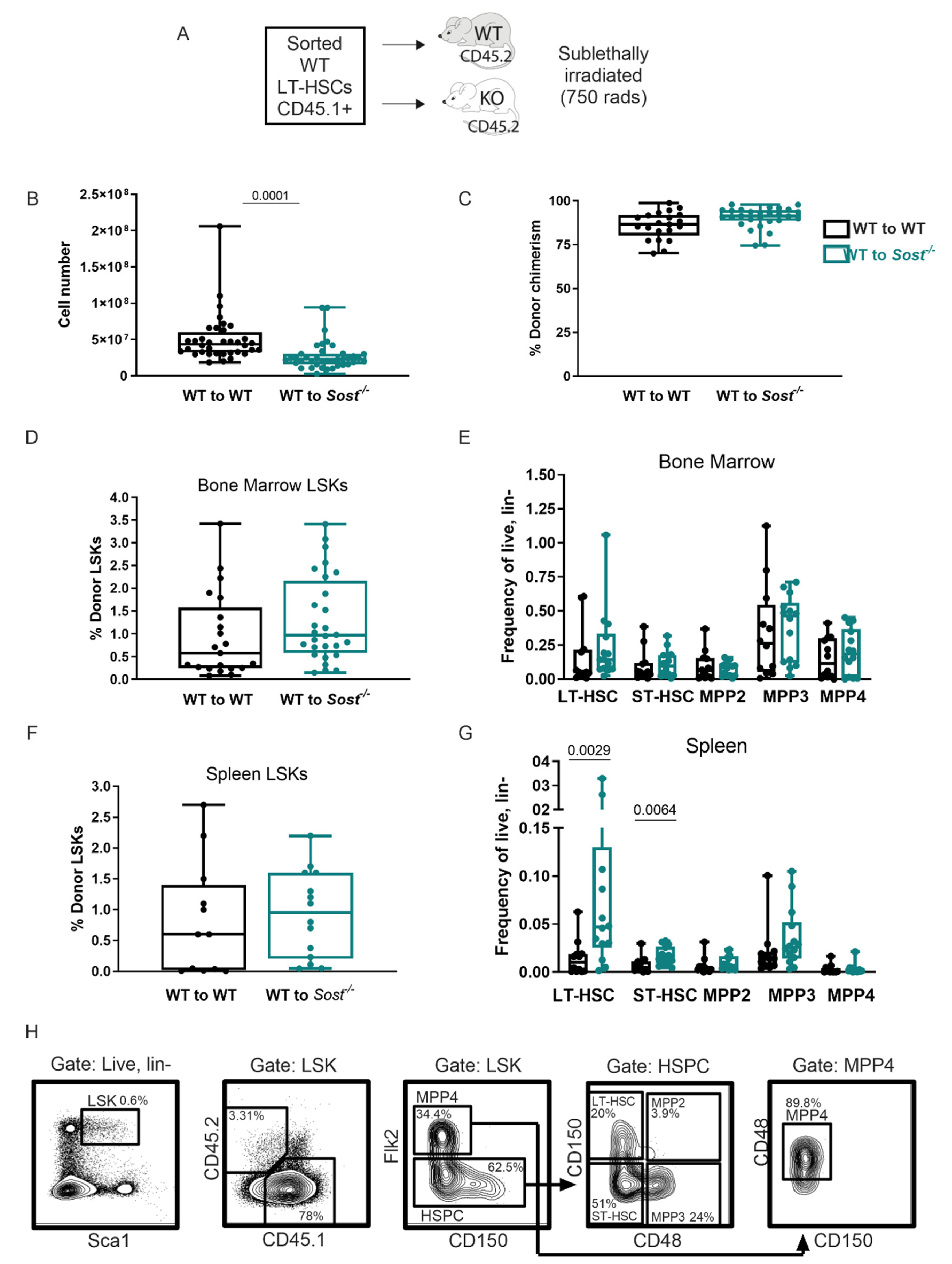 Ijms 22 09111 g002 Ijms 22 09111 g002