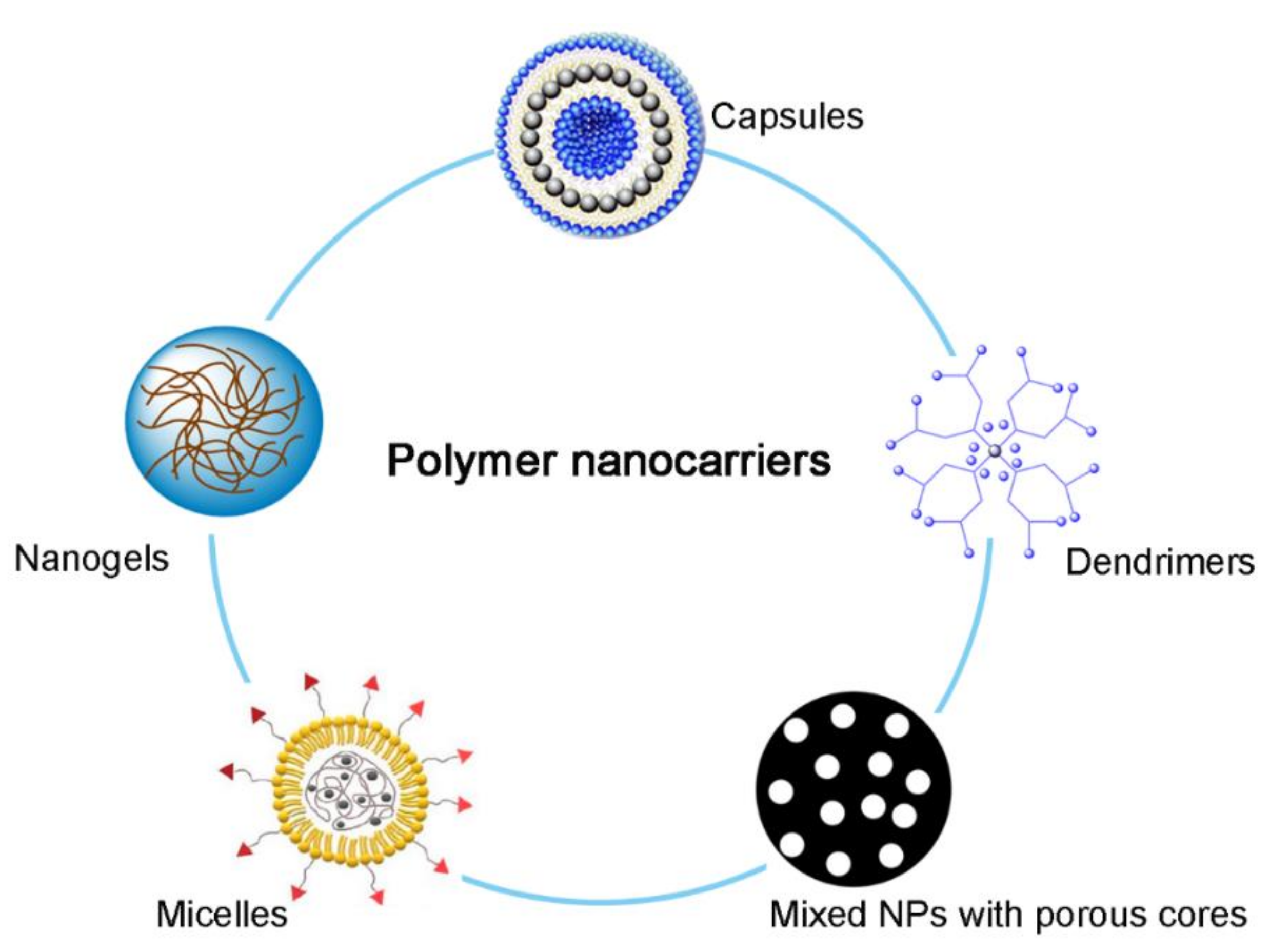 Ijms 22 09118 g001 550