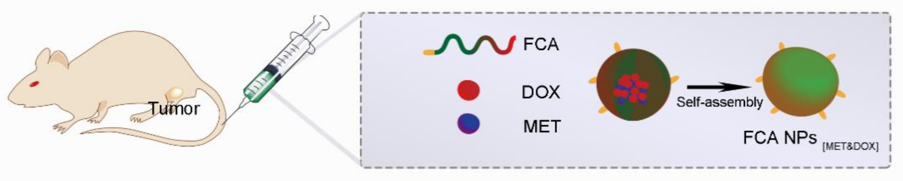 Ijms 22 09118 g002 550