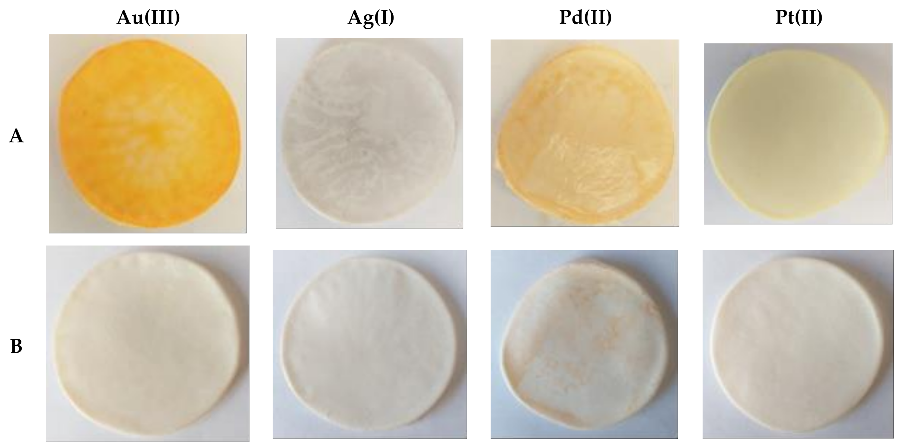 Ijms 22 09123 g007 550