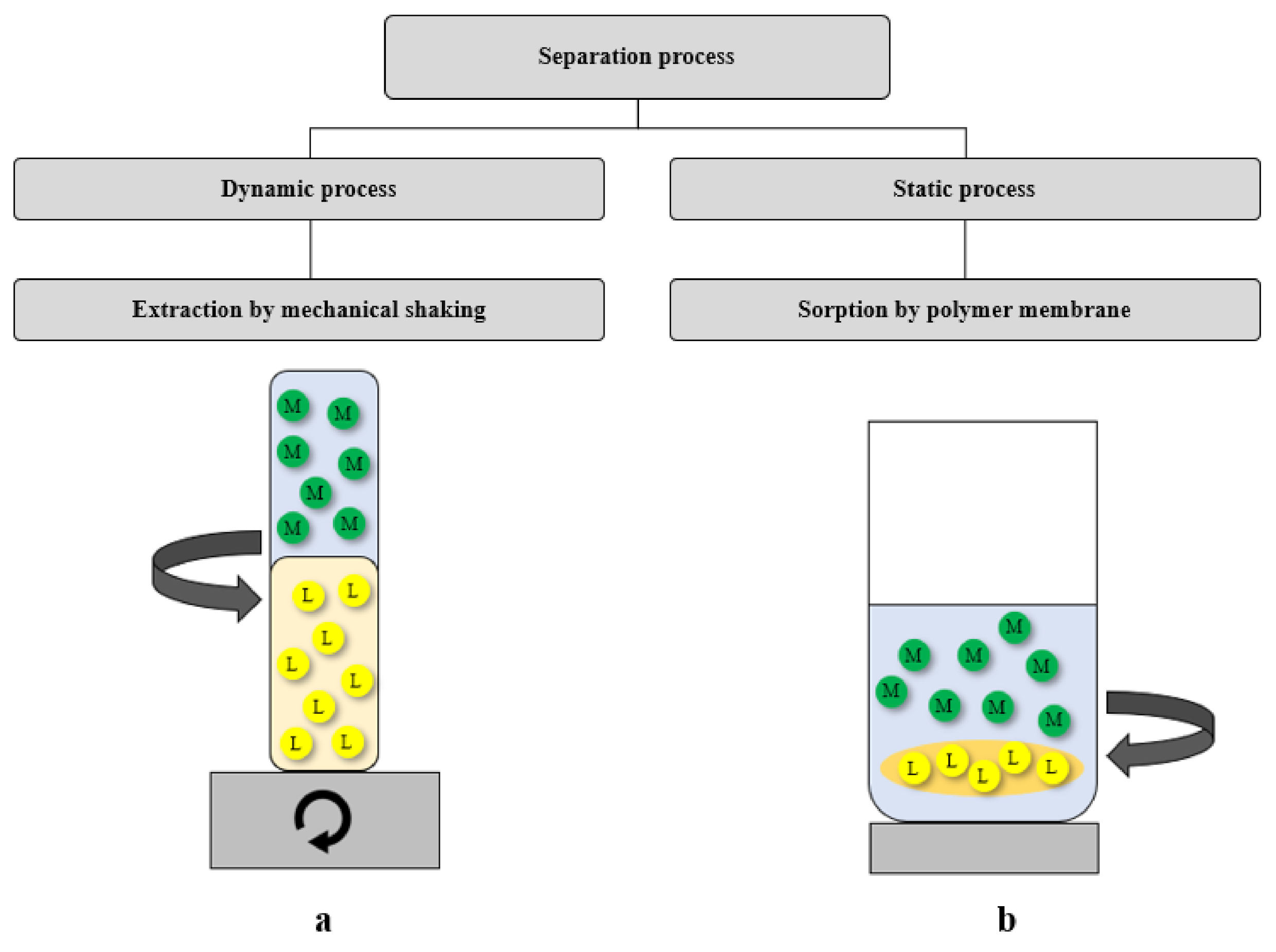 Ijms 22 09123 g008 550
