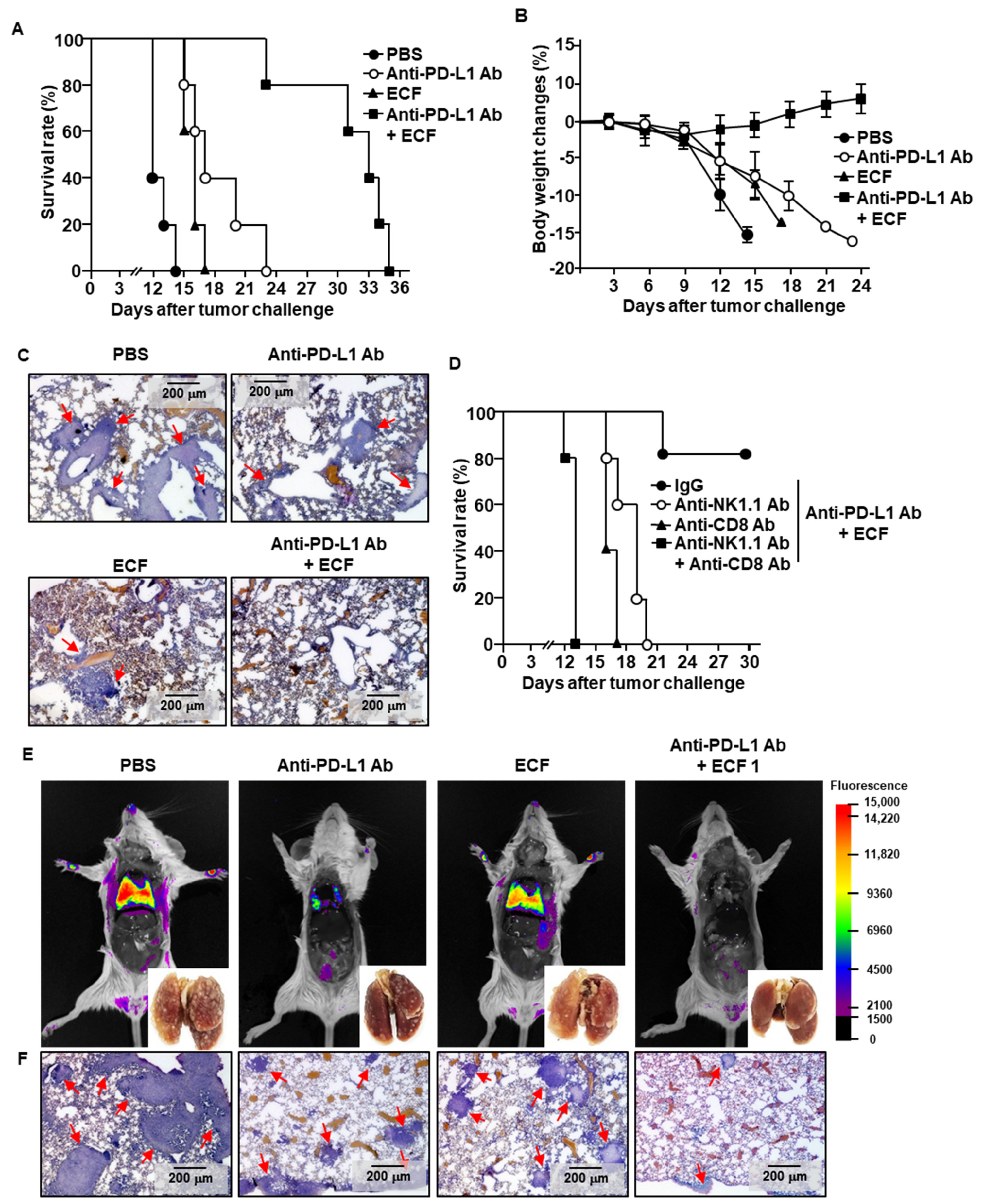 Ijms 22 09125 g005 550