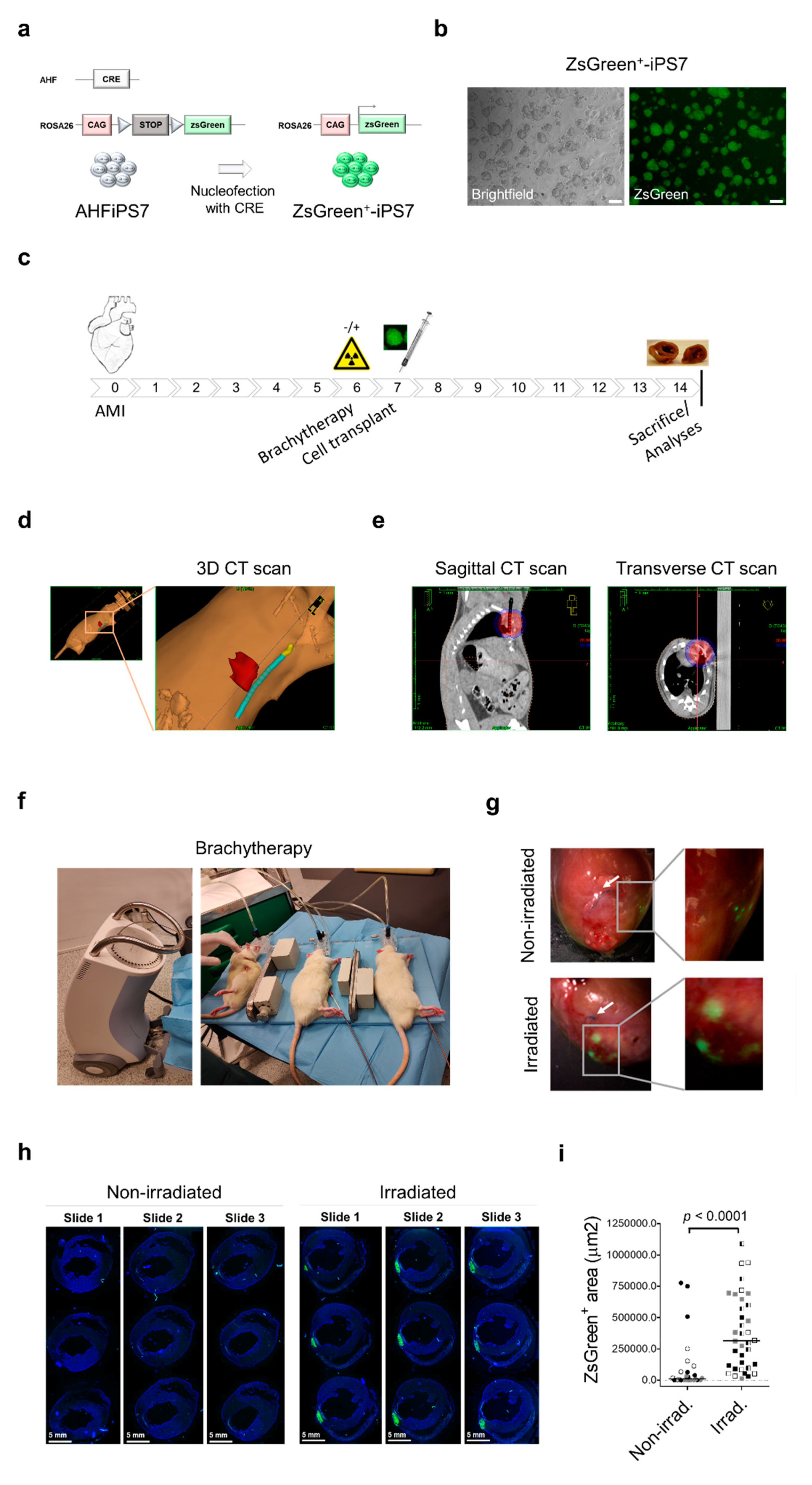 Ijms 22 09126 g001 550